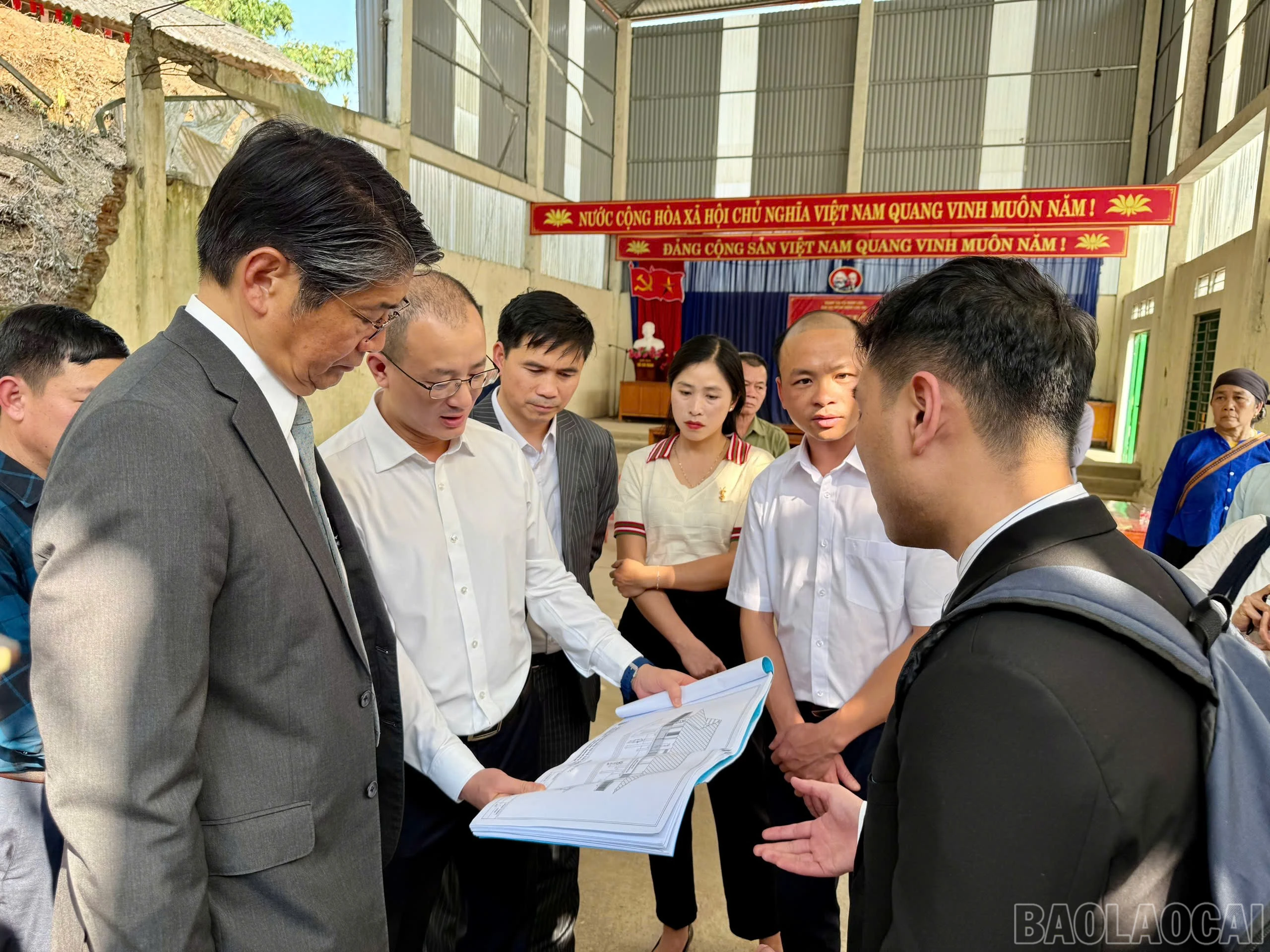 baolaocai-br_z6370766440206-a950cebd927d4226f56ccccae9a6c137.jpg