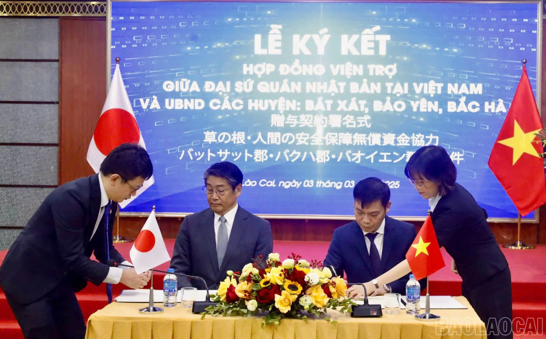 baolaocai-br_z6370766277257-d168db033e5415493417bcb12f581328.jpg