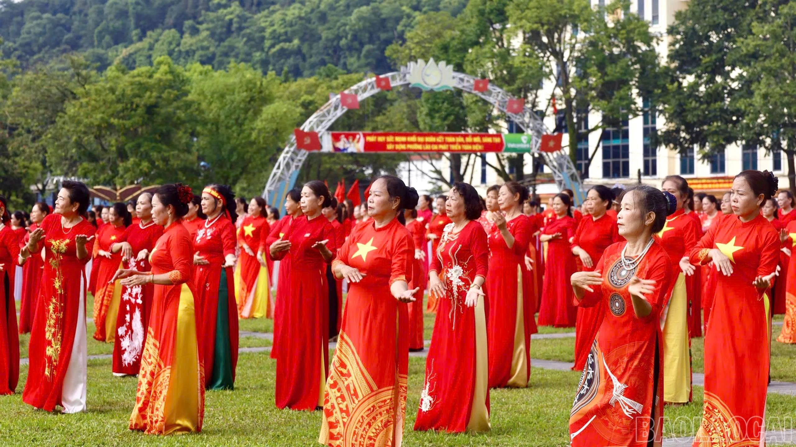 baolaocai-br_z6961110052391-1a175e69e9f88927de4e59cbe8ecc202.jpg