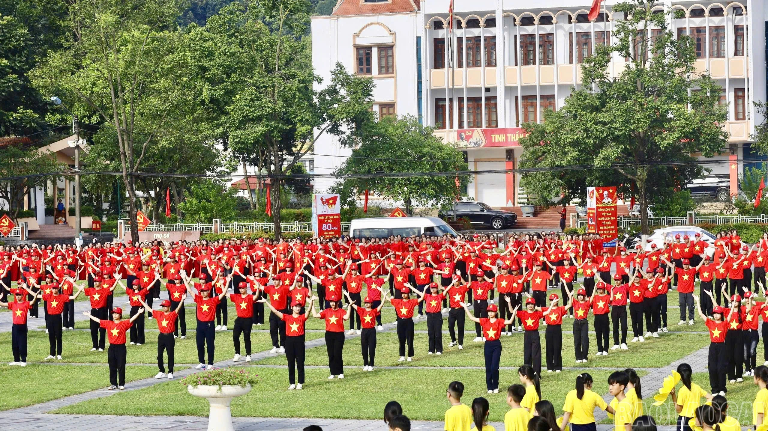 baolaocai-br_z6961109824734-1d5e8dafcdd2201f0de415b7a21a83b9.jpg