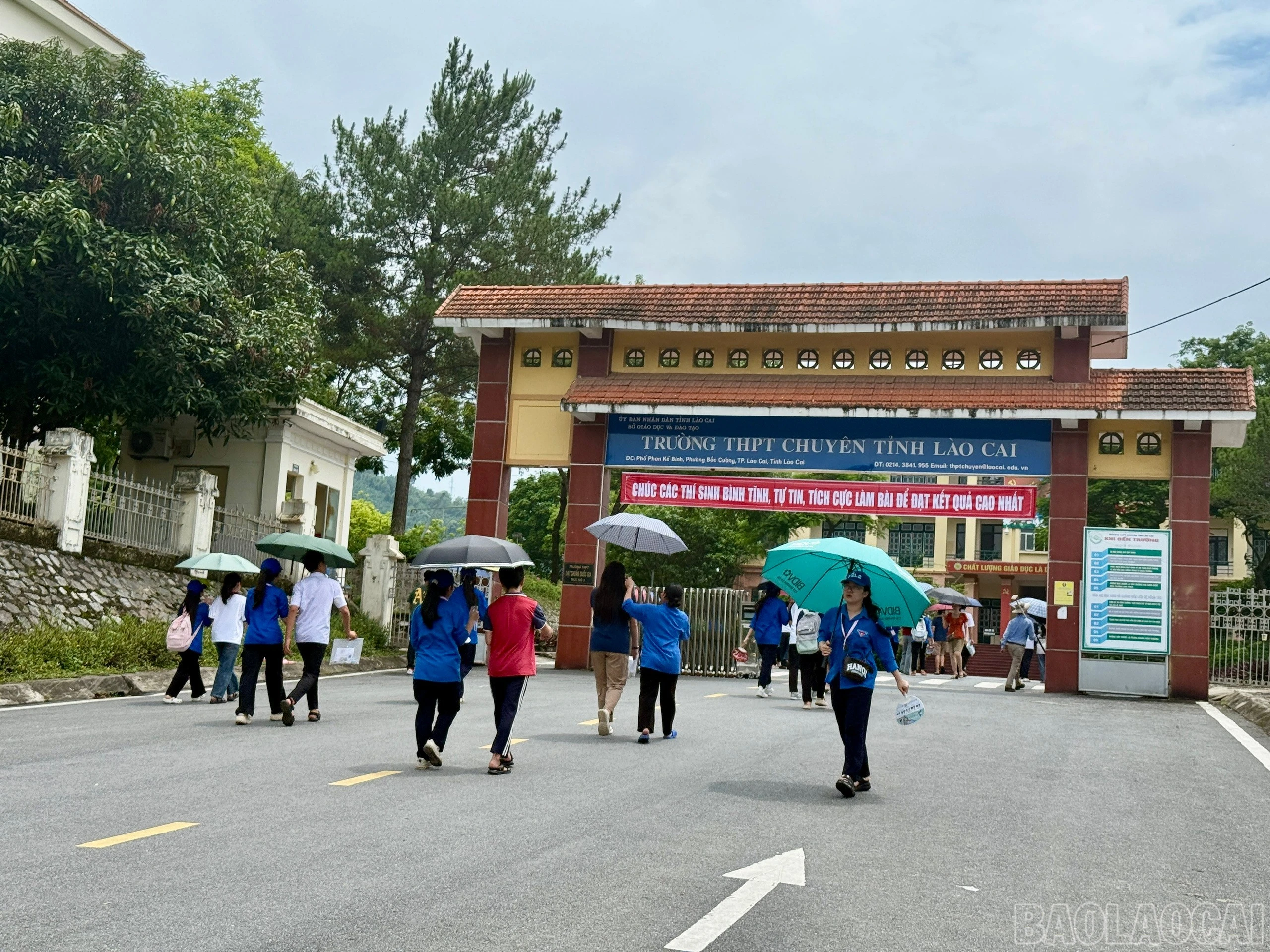 baolaocai-br_z6675491568192-02bddf6632296f10354378f0696869e9.jpg