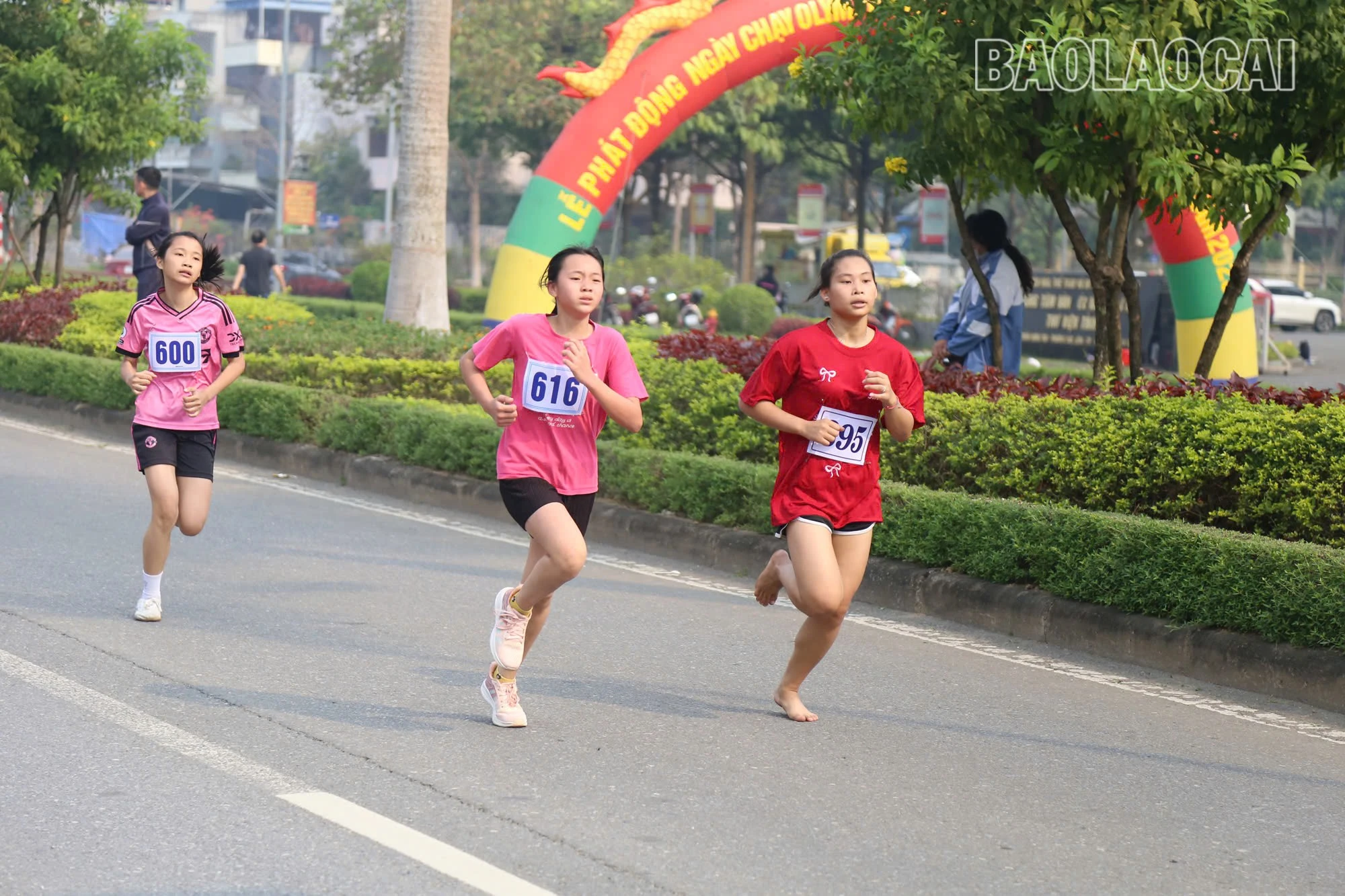 z6433719125936-7484507e1845b96e9fadc7030b357c6d.jpg