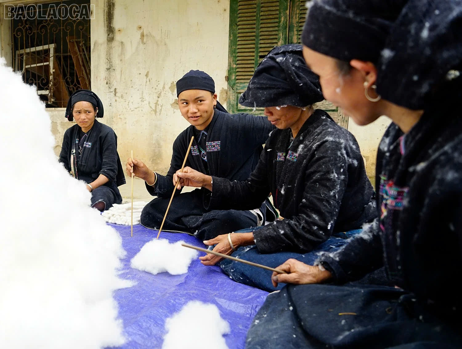 baolaocai-tl_z6736017277138-6f3f30376d4e49223d38b2fe2a389d4f.jpg