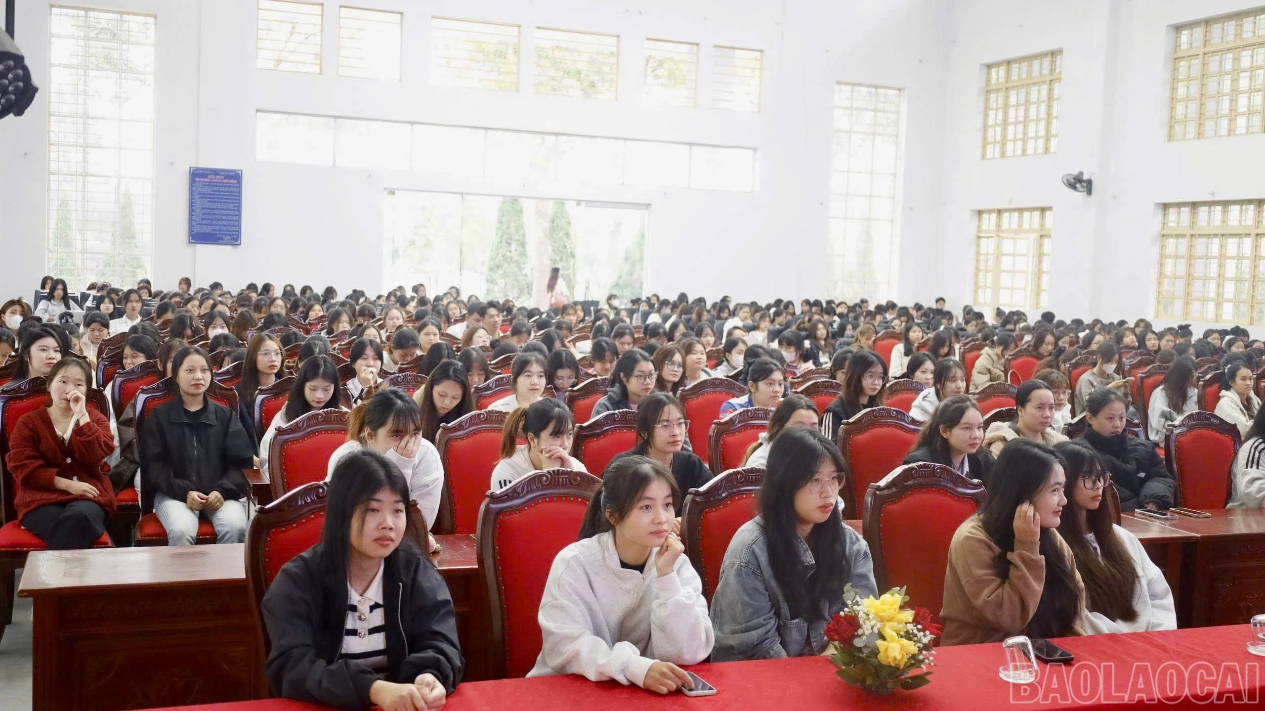 baolaocai-br_z7232908853679-d122d5754de05d22bd8ee116e45adffd.jpg
