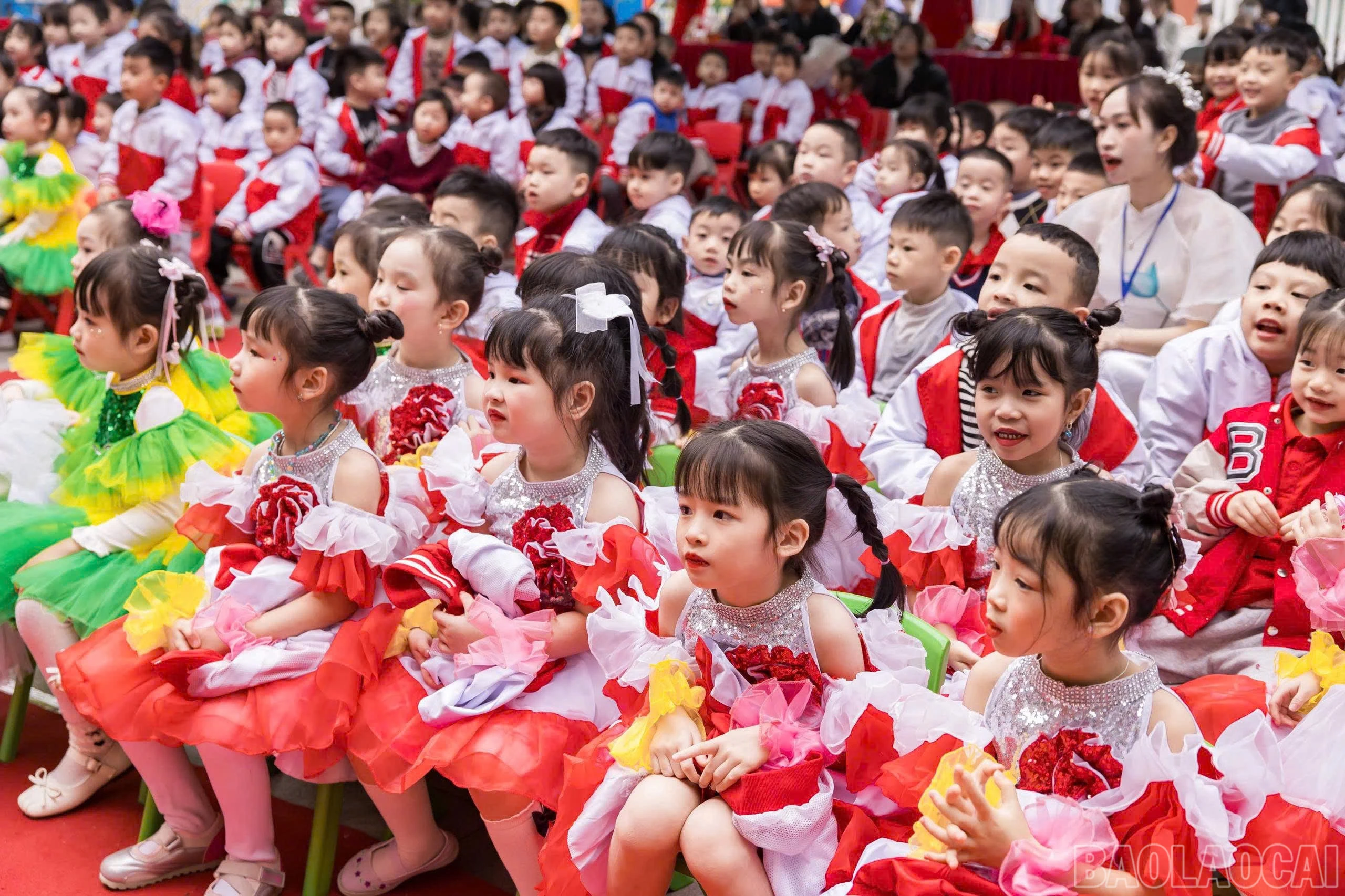 baolaocai-br_z7385504703855-060532021e4bb089457d30ac798b8783.jpg