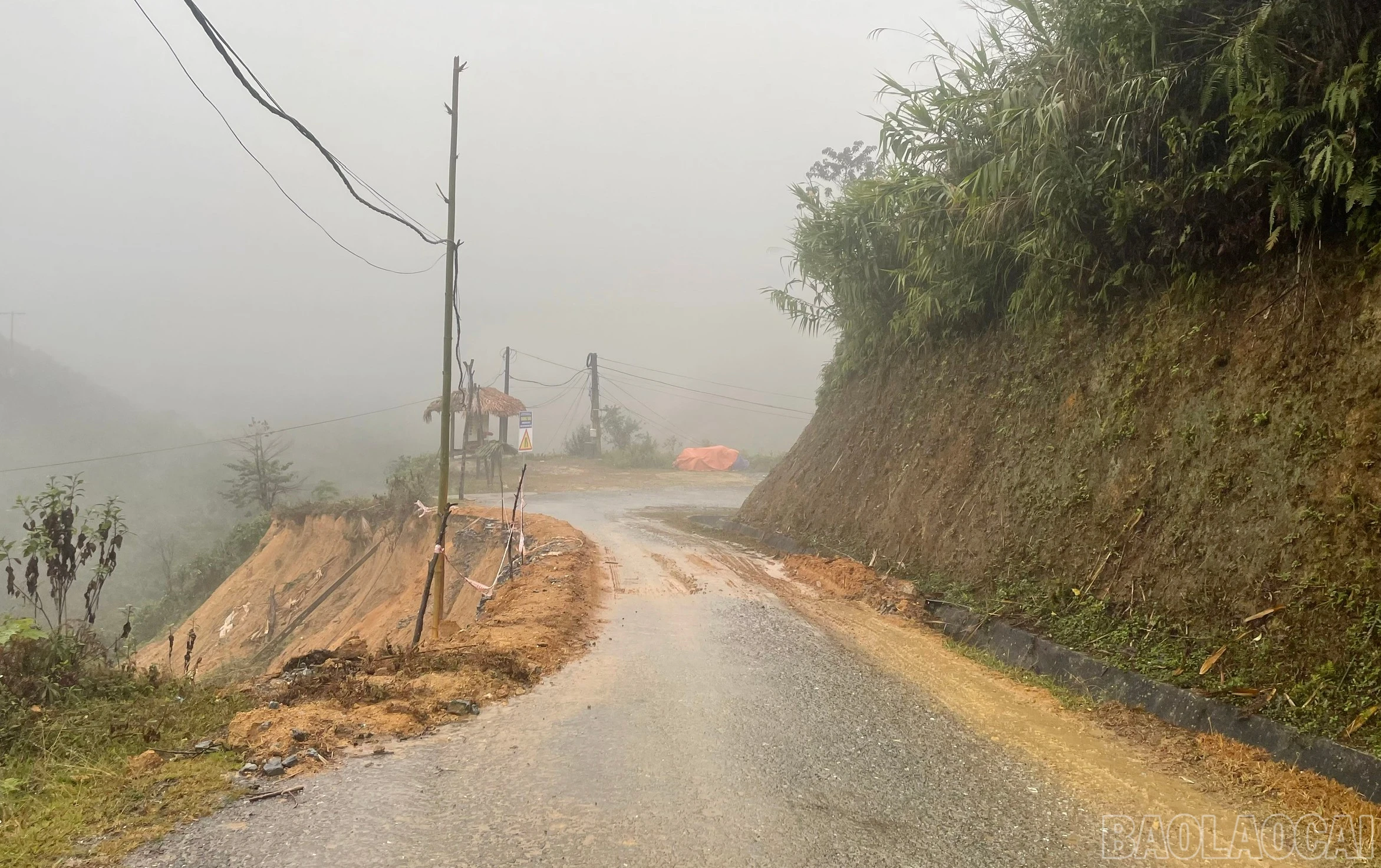 baolaocai-br_a5.jpg