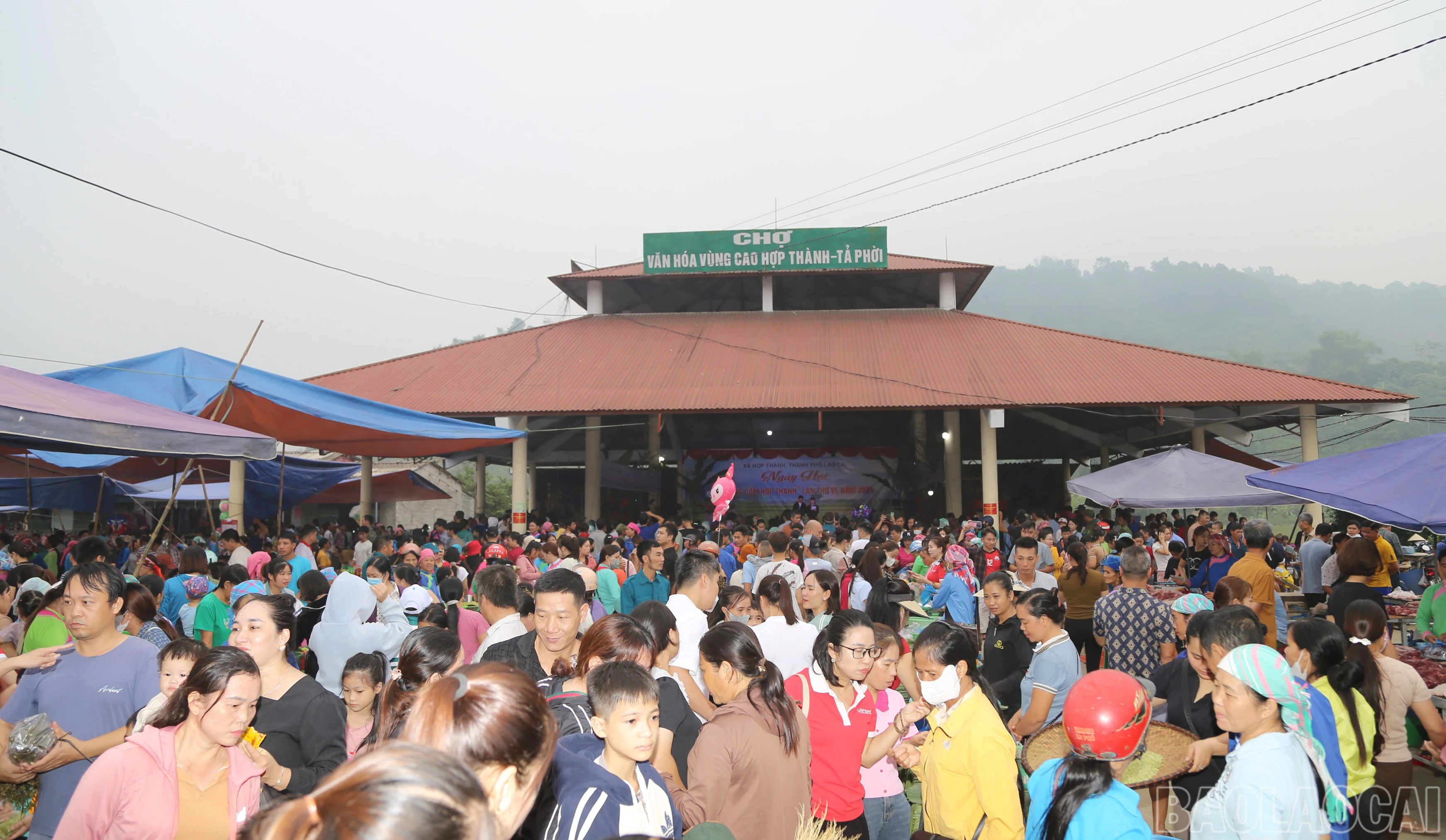 baolaocai-br_img-3639.jpg