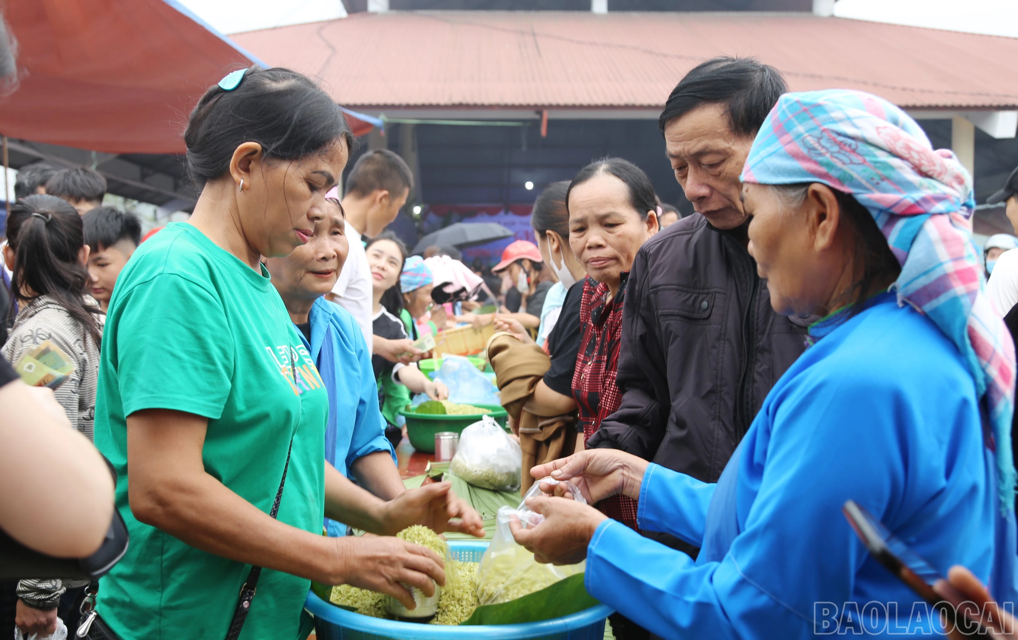 baolaocai-br_img-3722.jpg