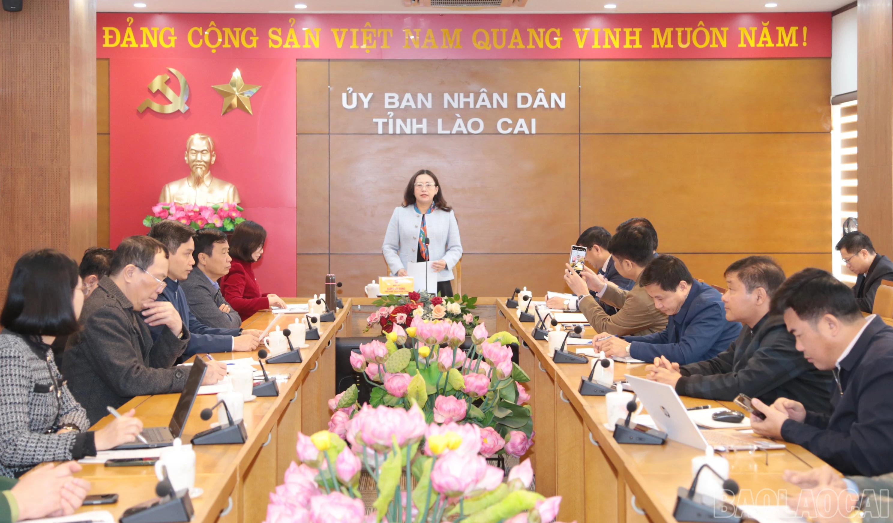 baolaocai-br_img-2058.jpg