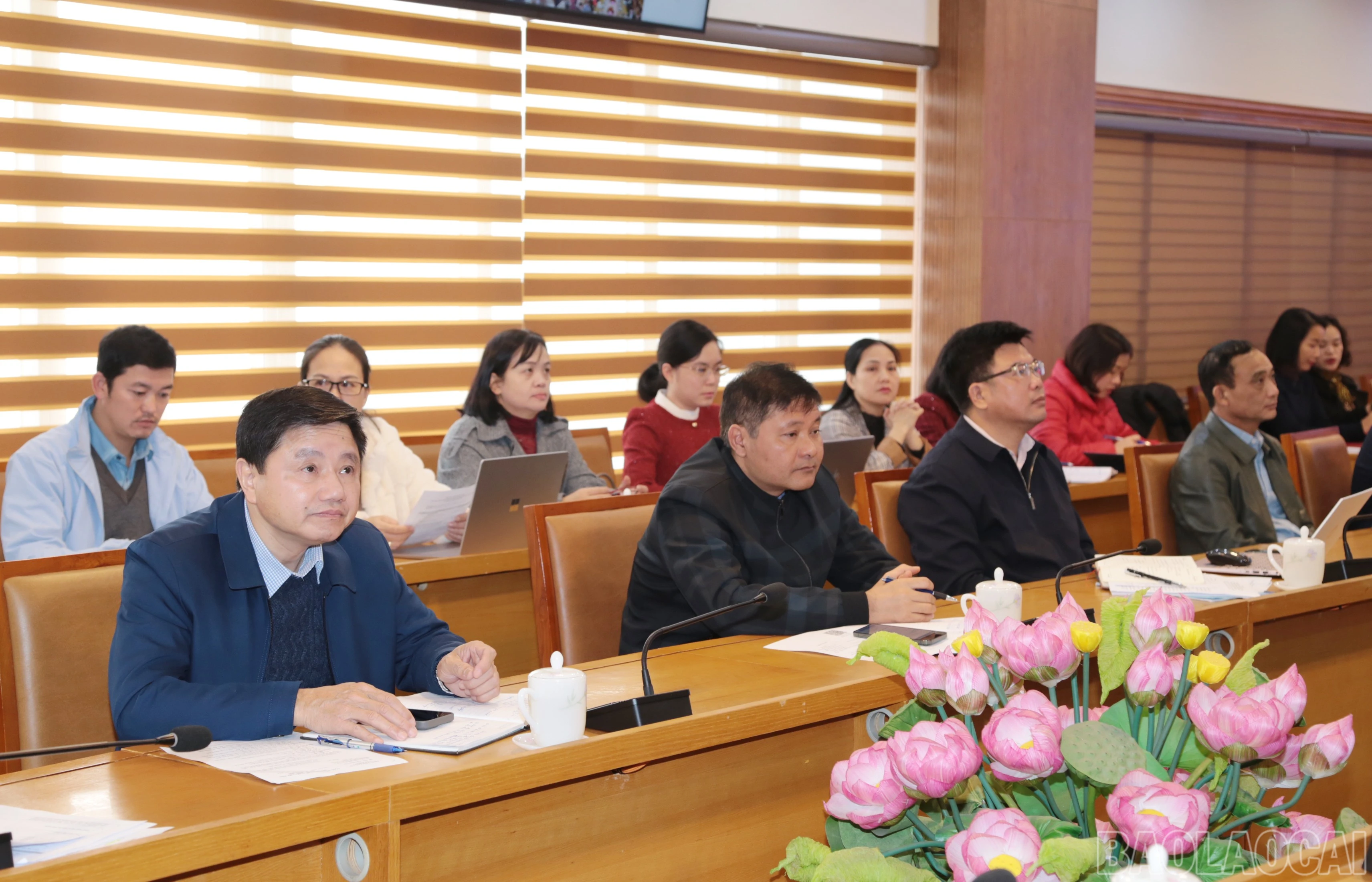 baolaocai-br_img-2070.jpg