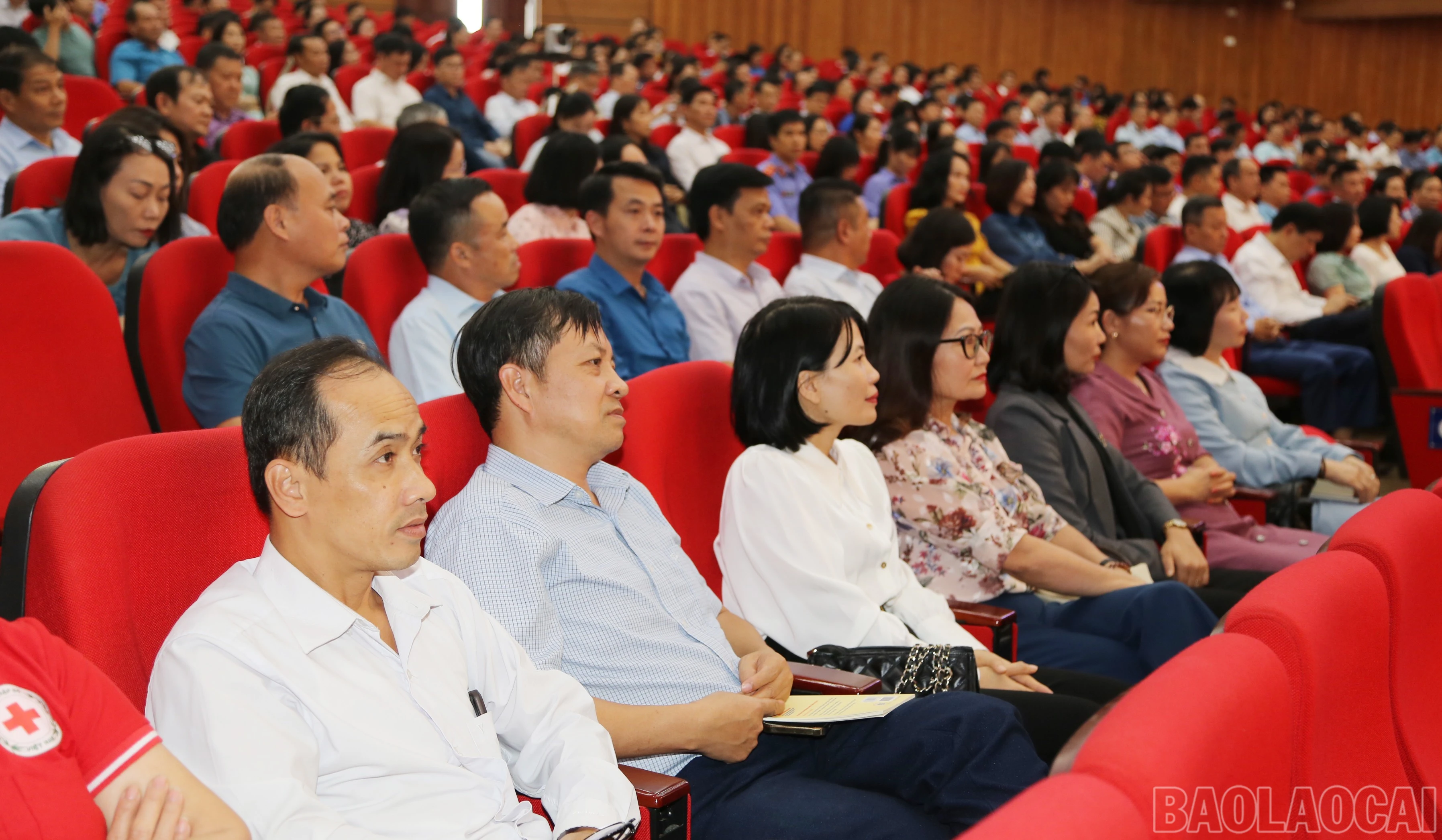 baolaocai-br_img-4447.jpg