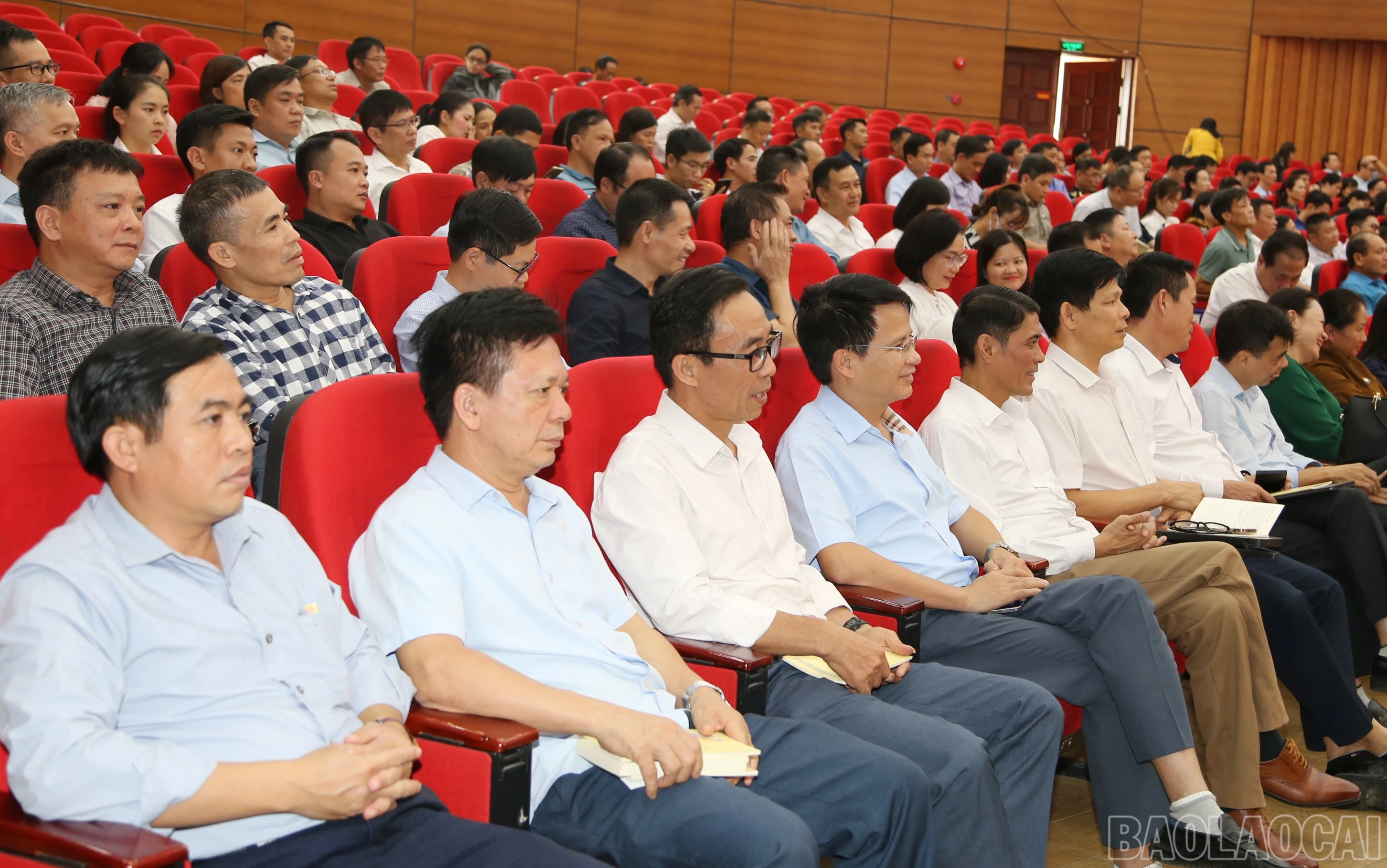 baolaocai-br_img-4444.jpg