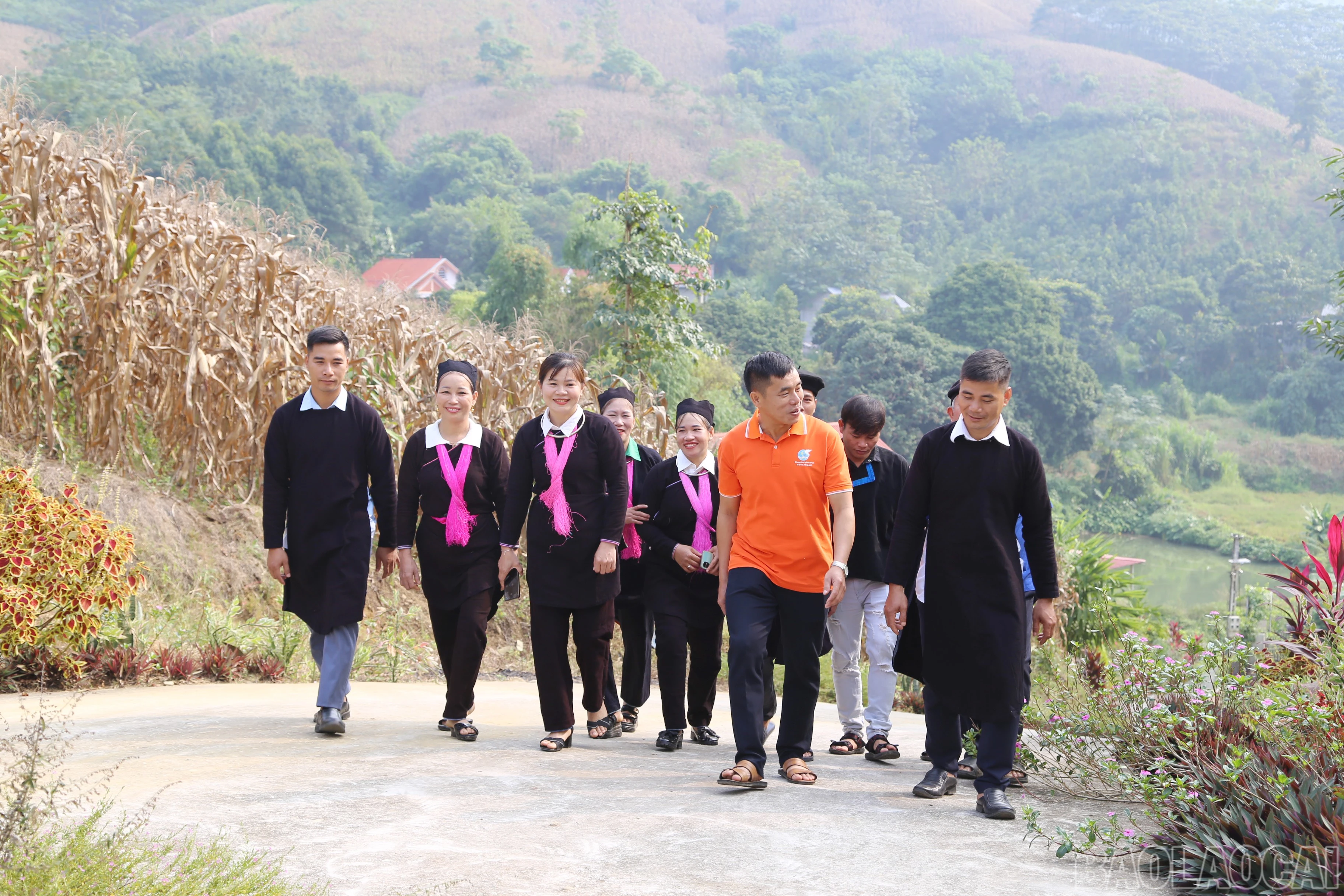 baolaocai-br_img-9283.jpg