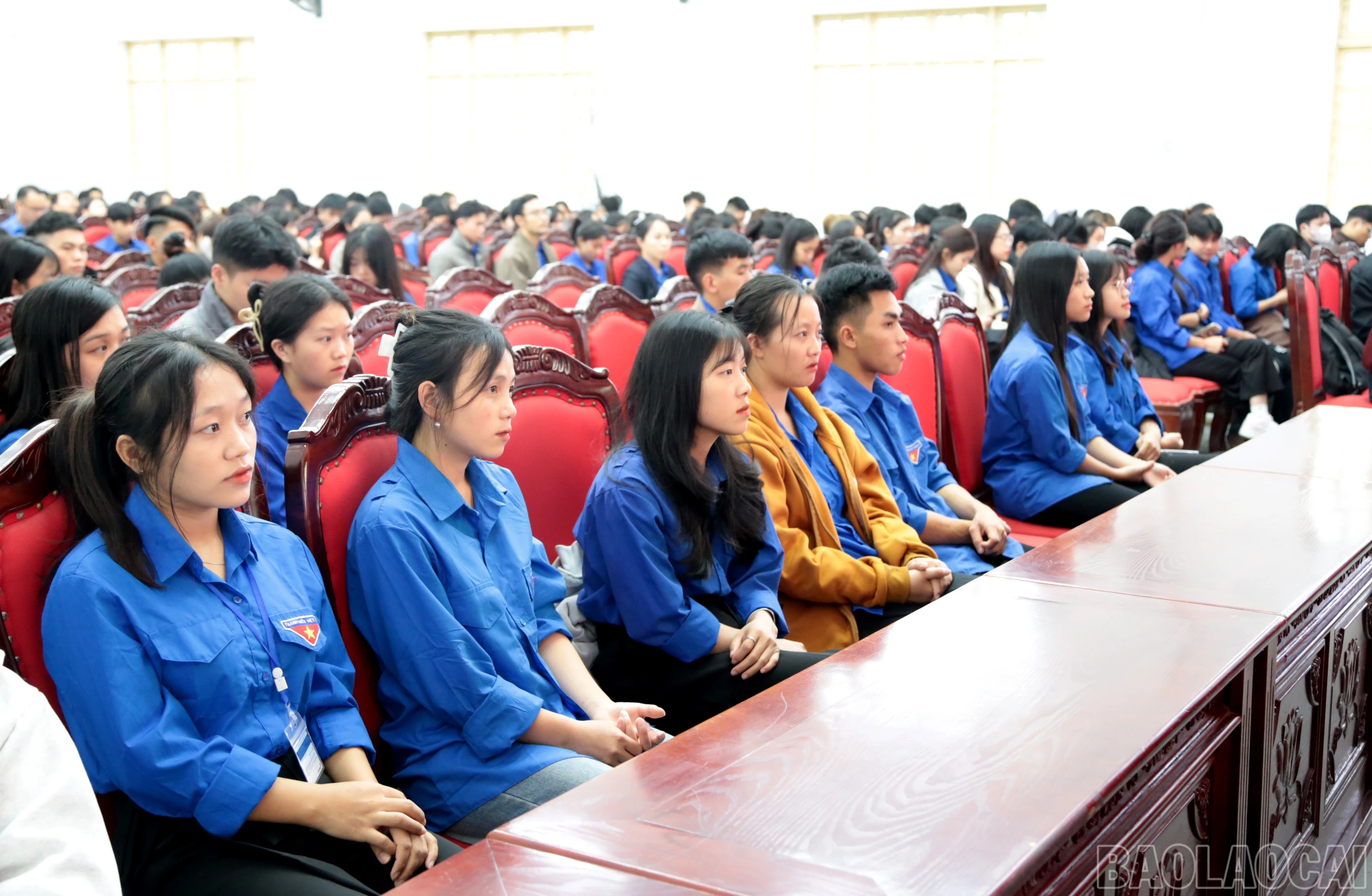 baolaocai-br_img-9558.jpg