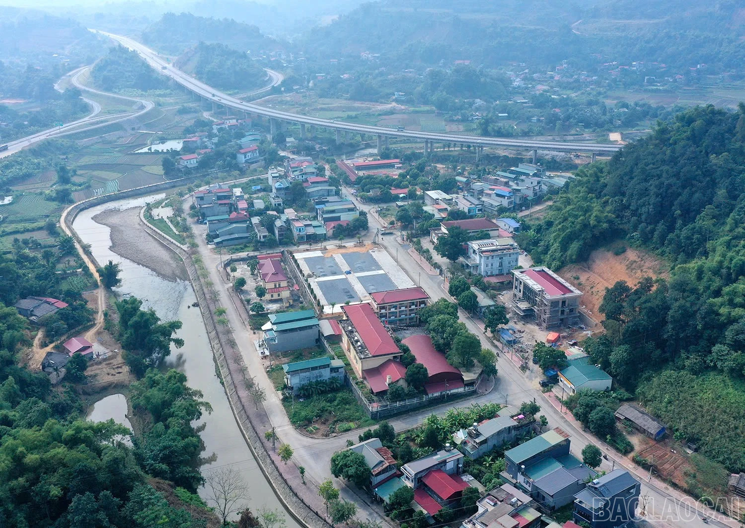 baolaocai-br_a1.jpg