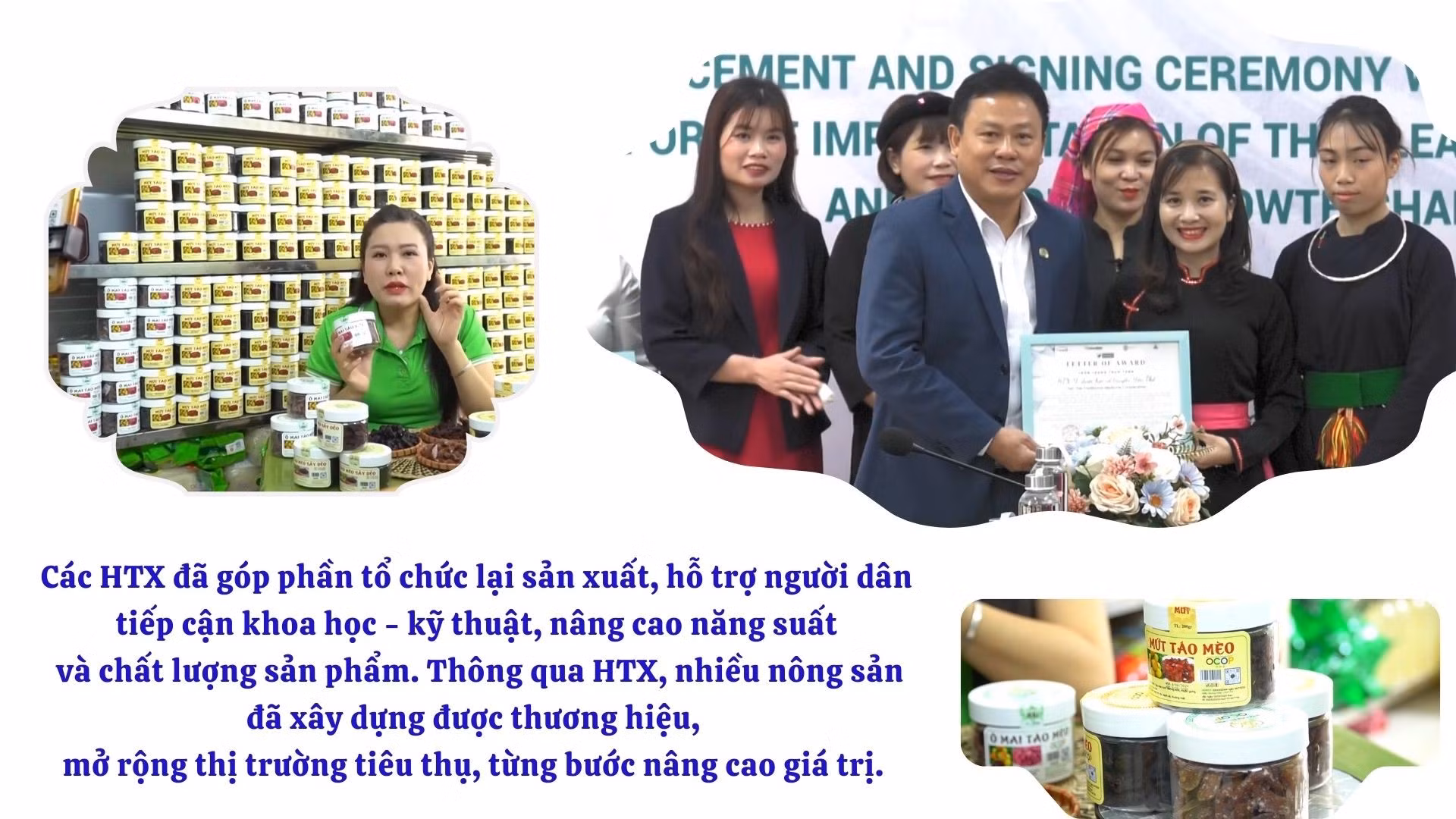 anh-htx-11.jpg