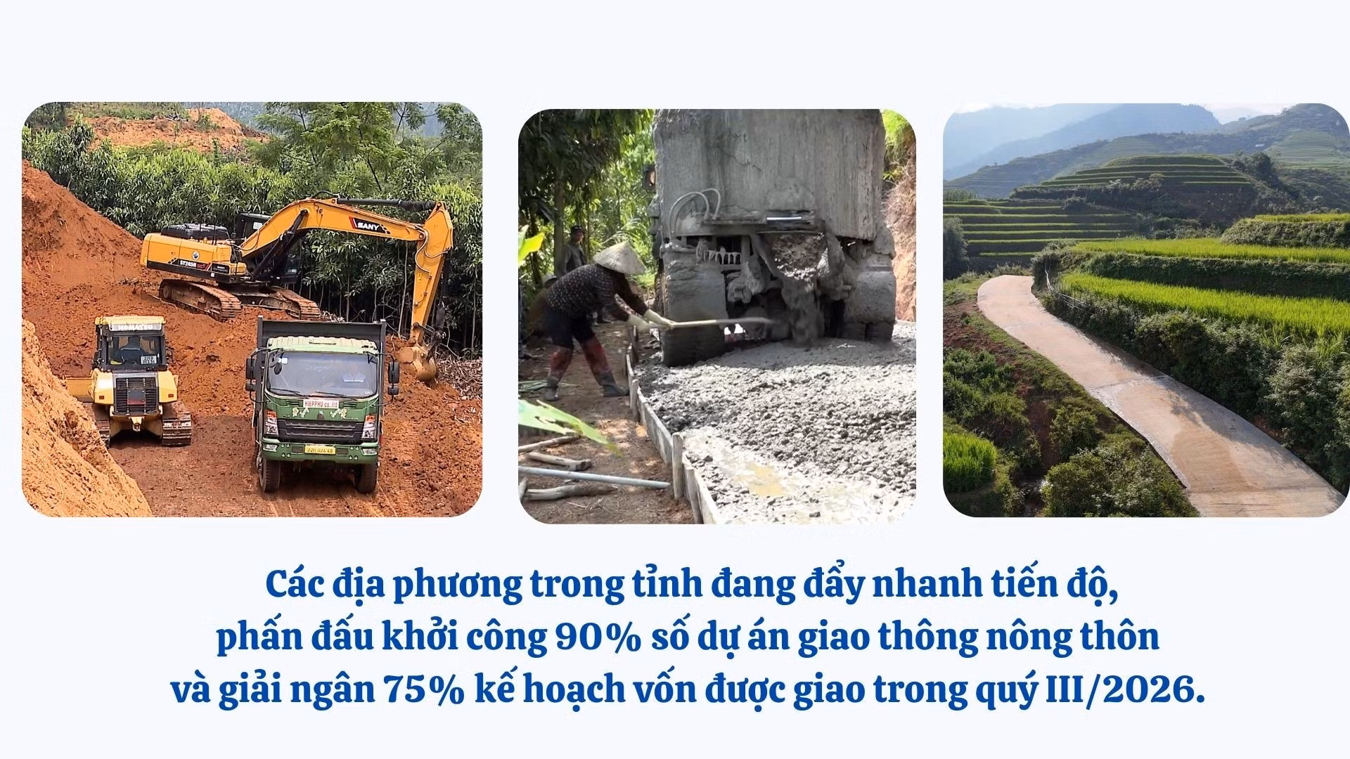 anh-sua-4.jpg
