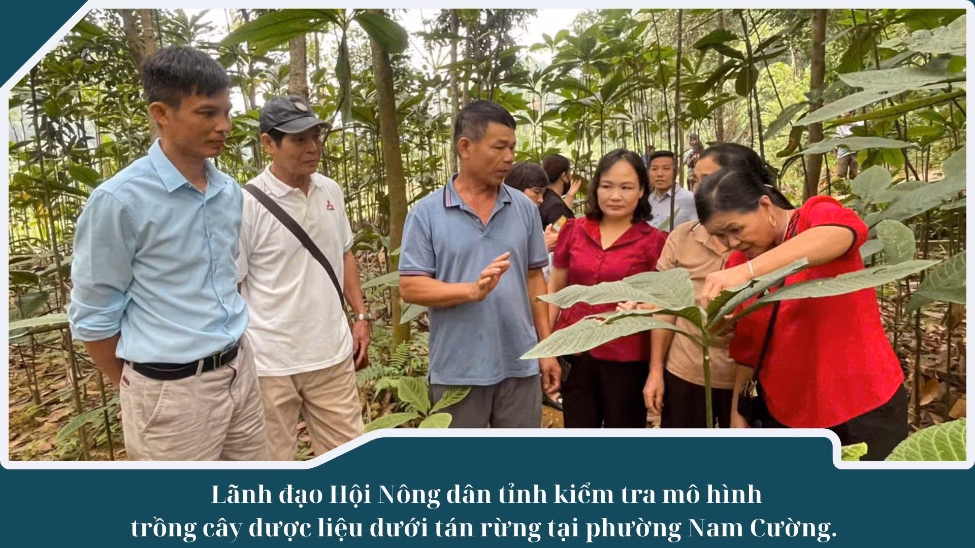 anh-nd.jpg
