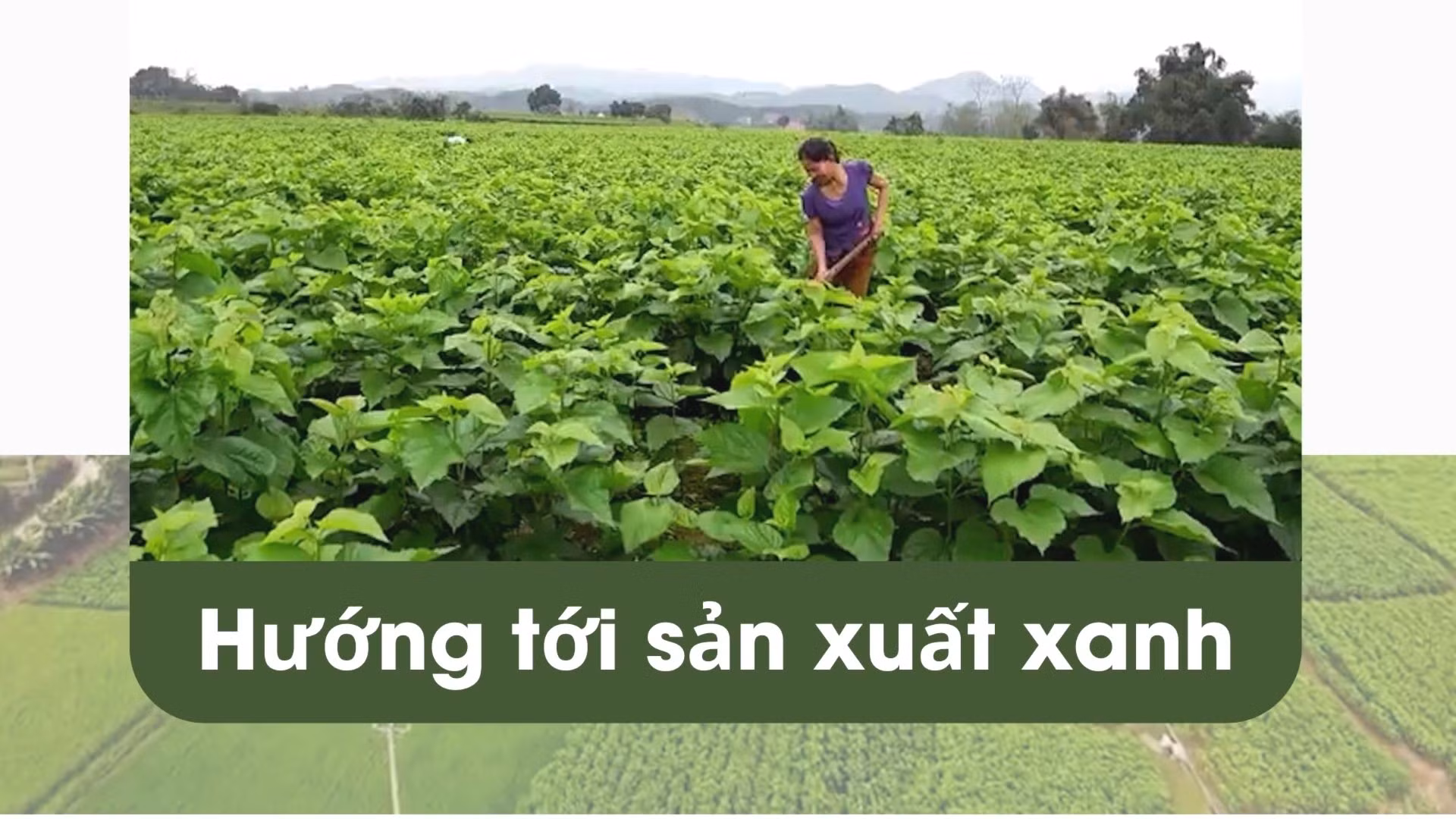 Hướng tới sản xuất xanh