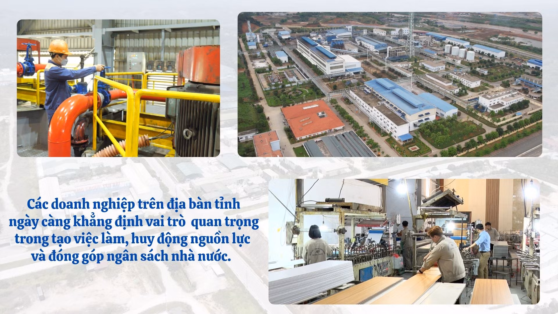 anh-sua-8.jpg