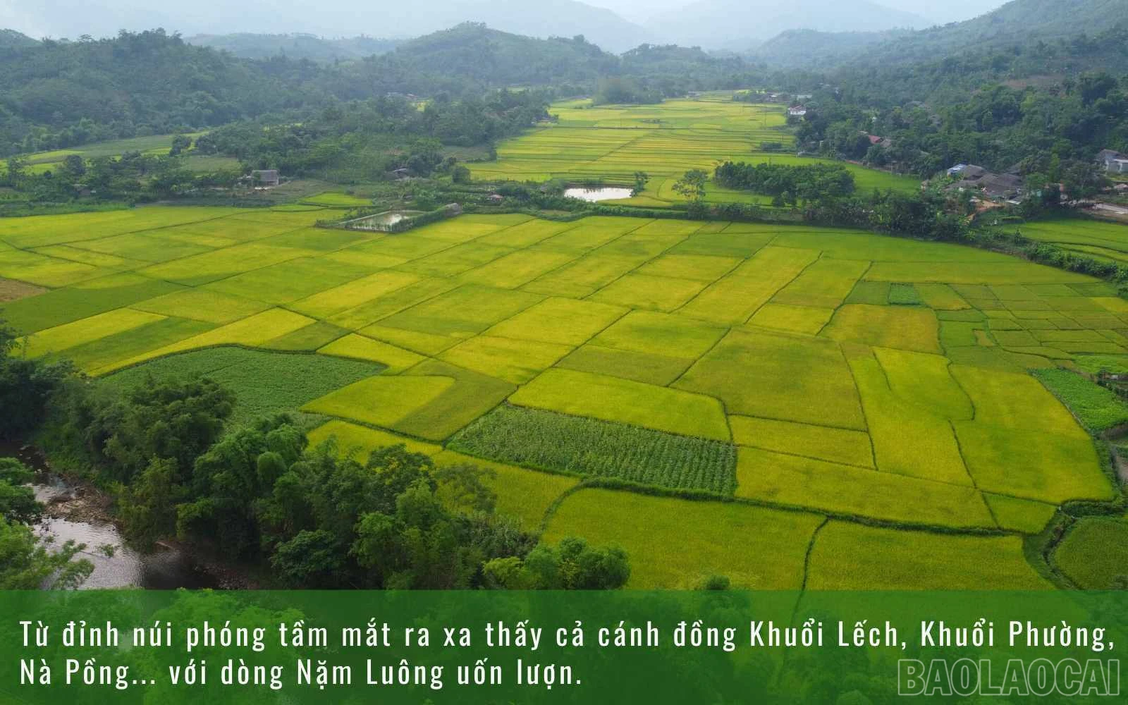 baolaocai_namluong.jpg
