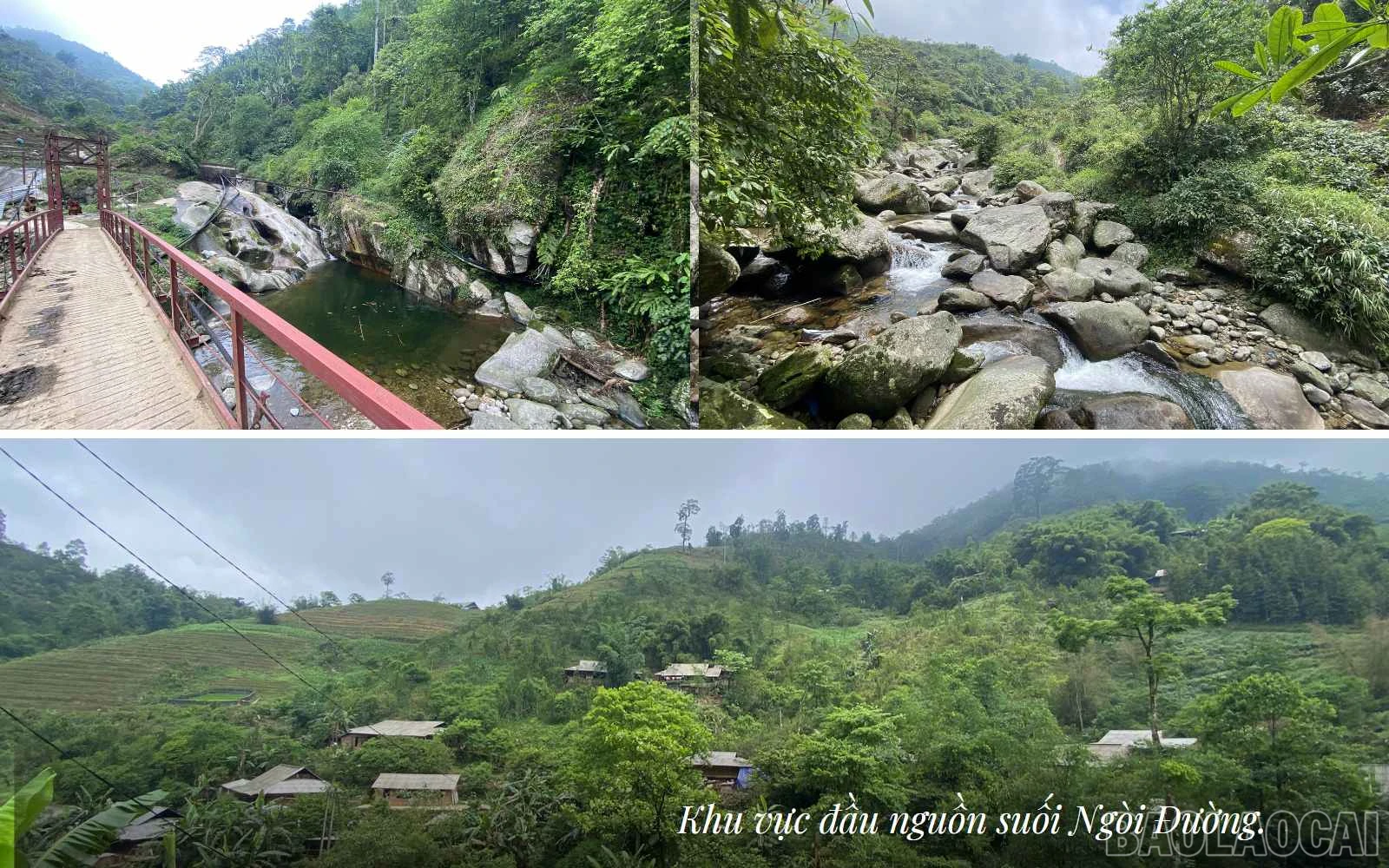 baolaocai_thuydien (5).jpg
