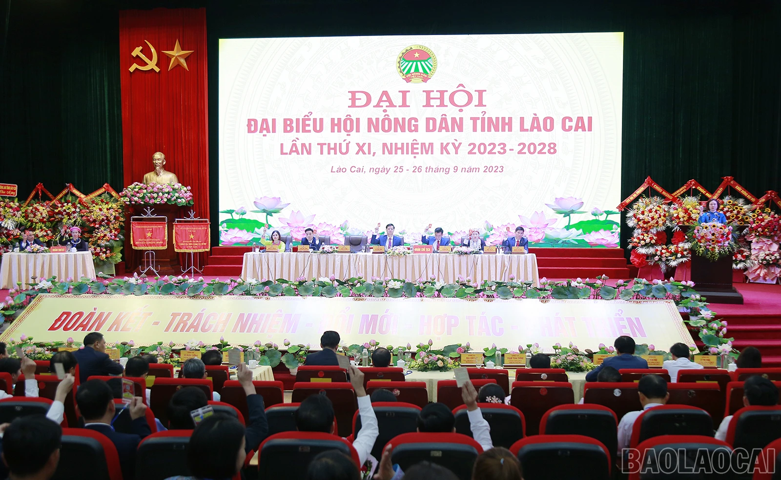 baolaocai_bq.JPG