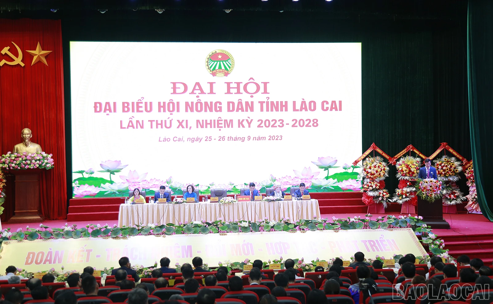baolaocai_1qq.JPG