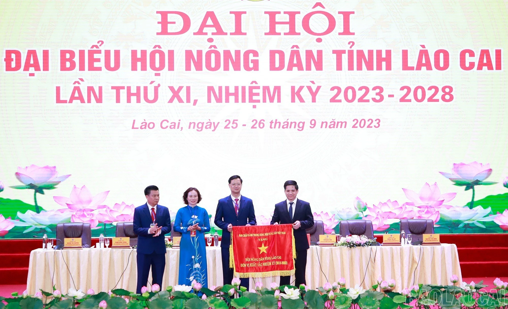 baolaocai_hndtlc (4).jpg