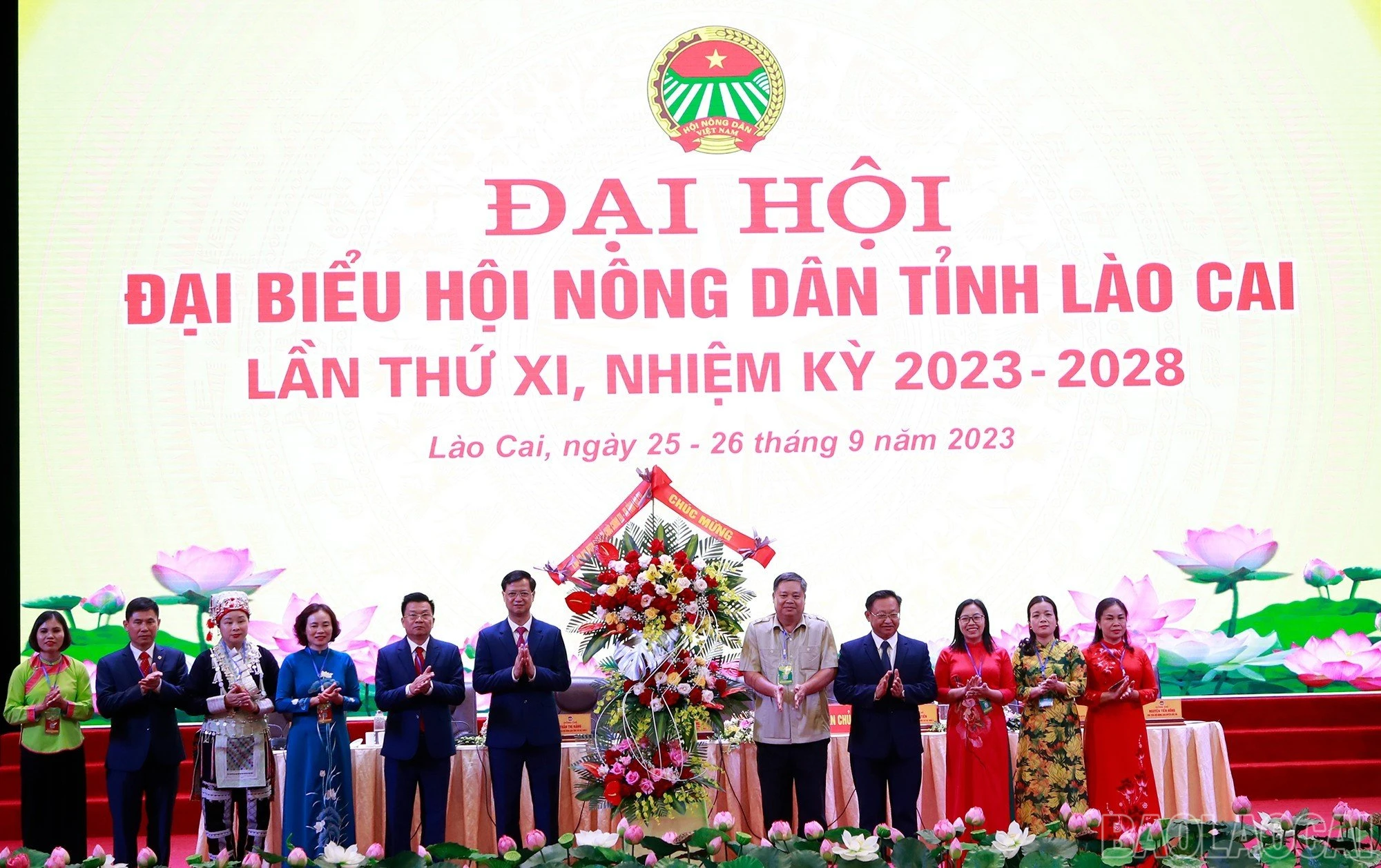 baolaocai_hndtlc (14).jpg