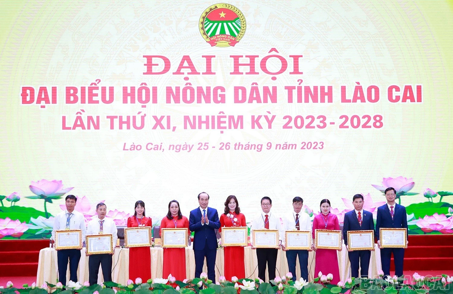 baolaocai_hndtlc (5).jpg