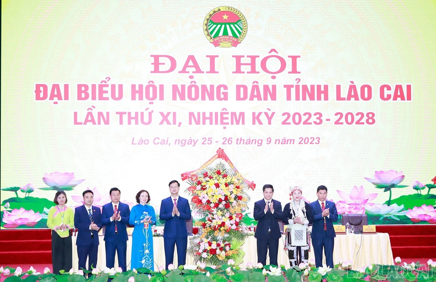baolaocai_hndtlc (10).jpg