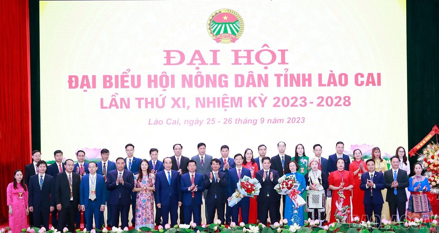 baolaocai_hndtlc (16).jpg