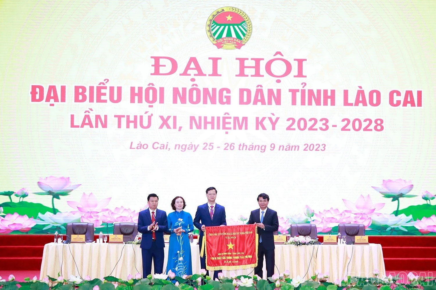 baolaocai_hndtlc (3).jpg