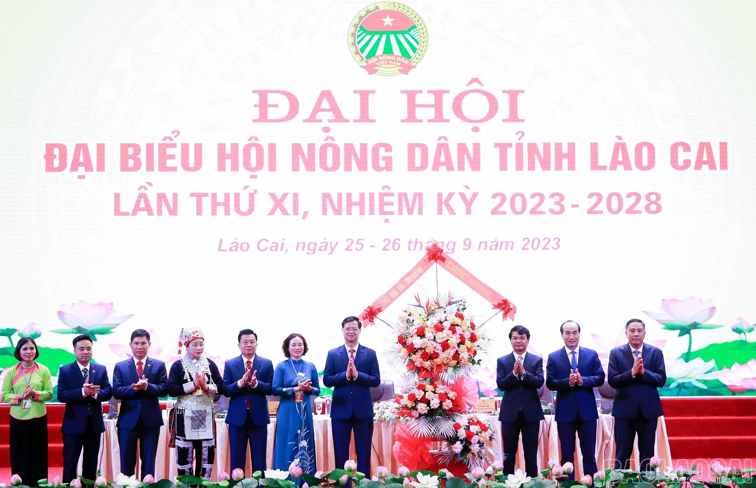 baolaocai_hndtlc (13).jpg