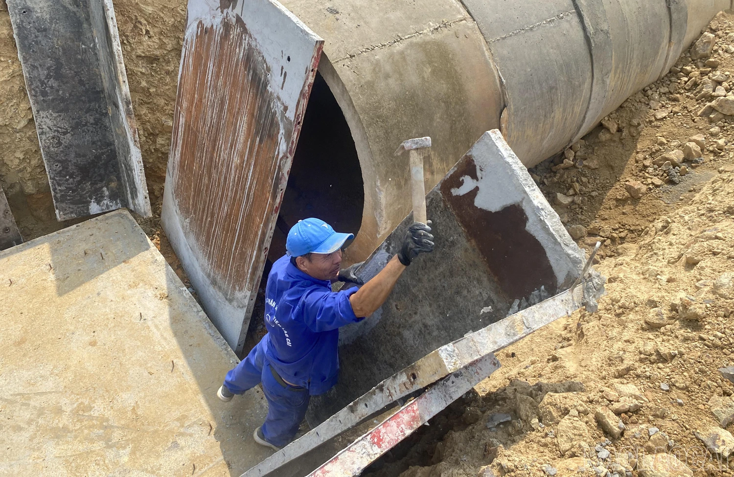 baolaocai_ct.JPG