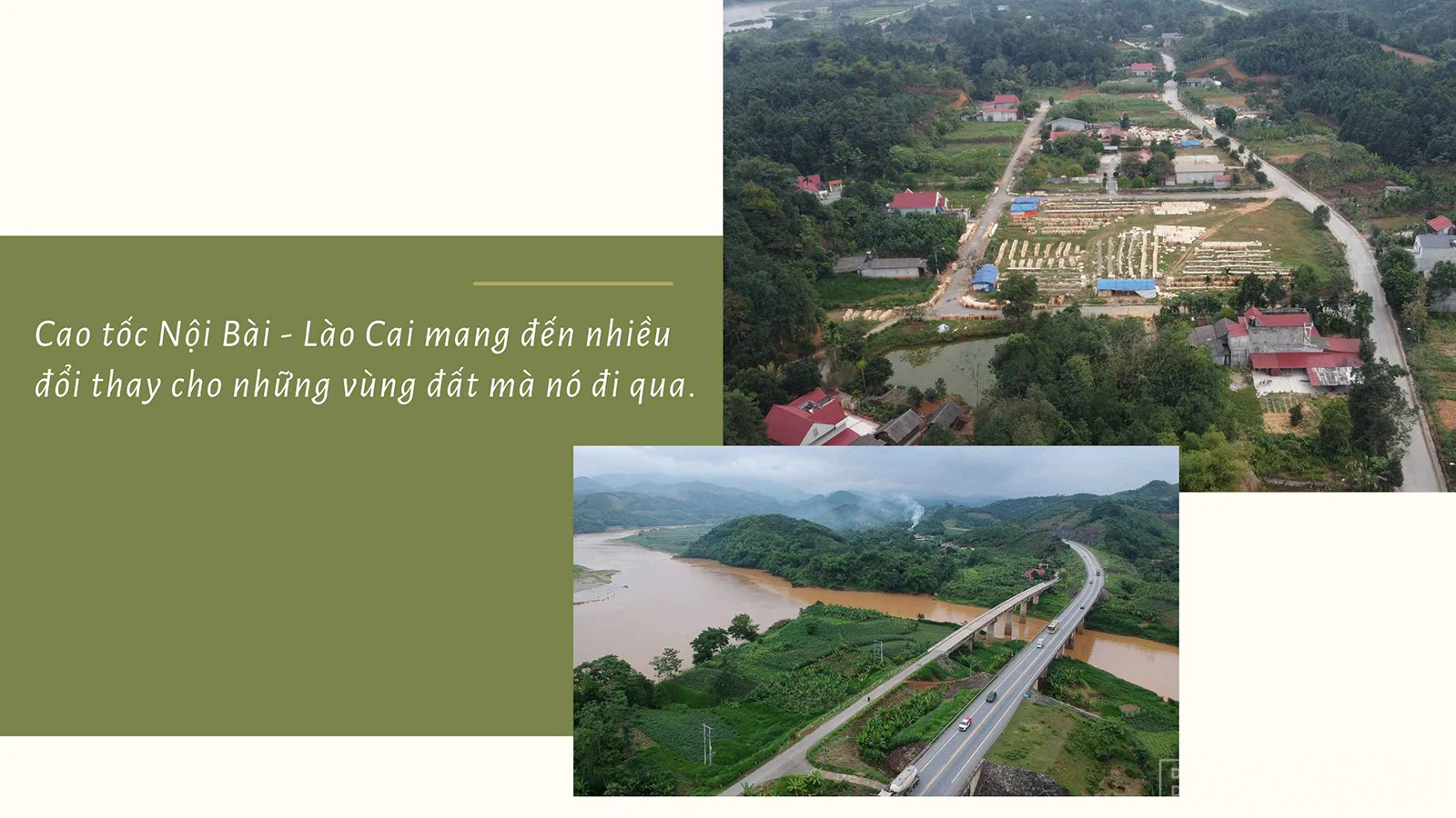 baolaocai_ctv.jpg