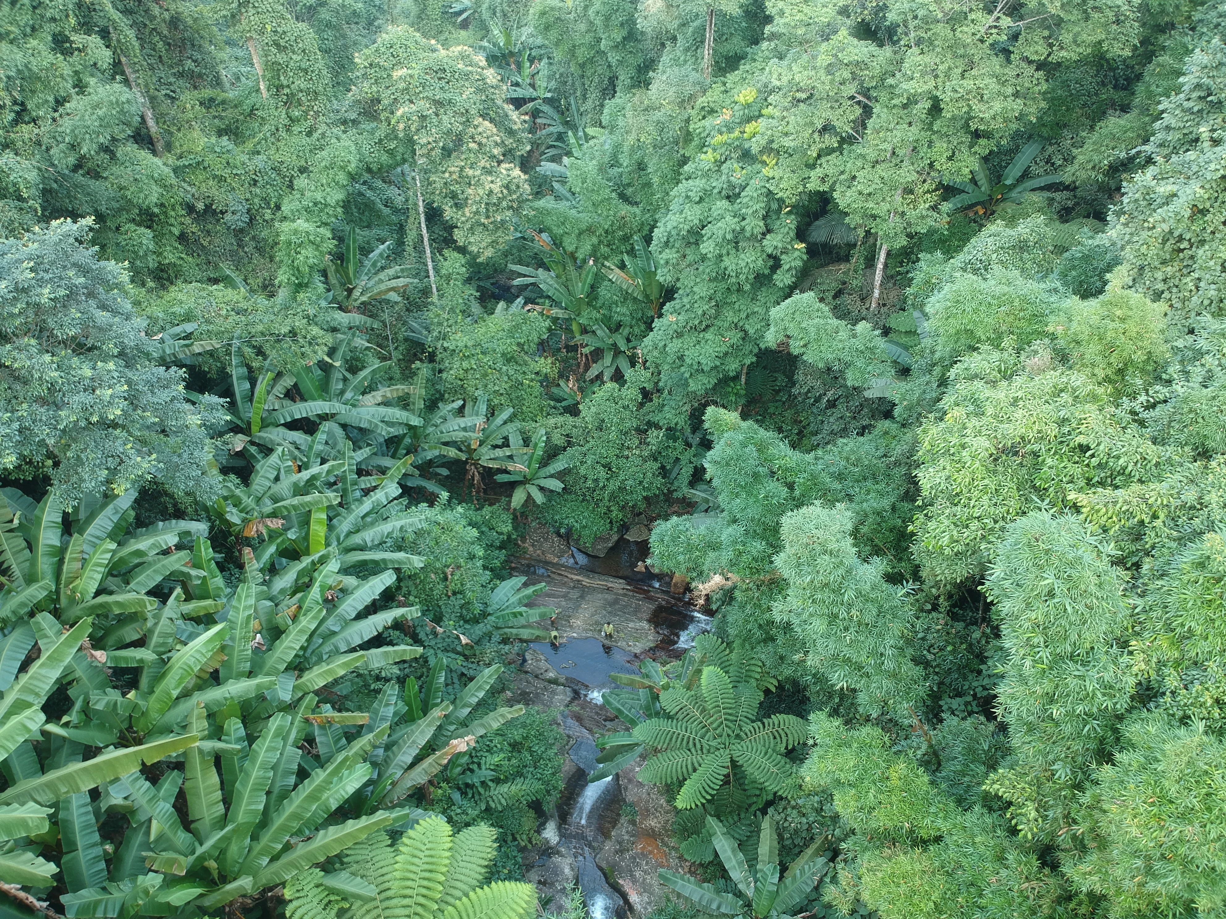 DJI_2716.JPG