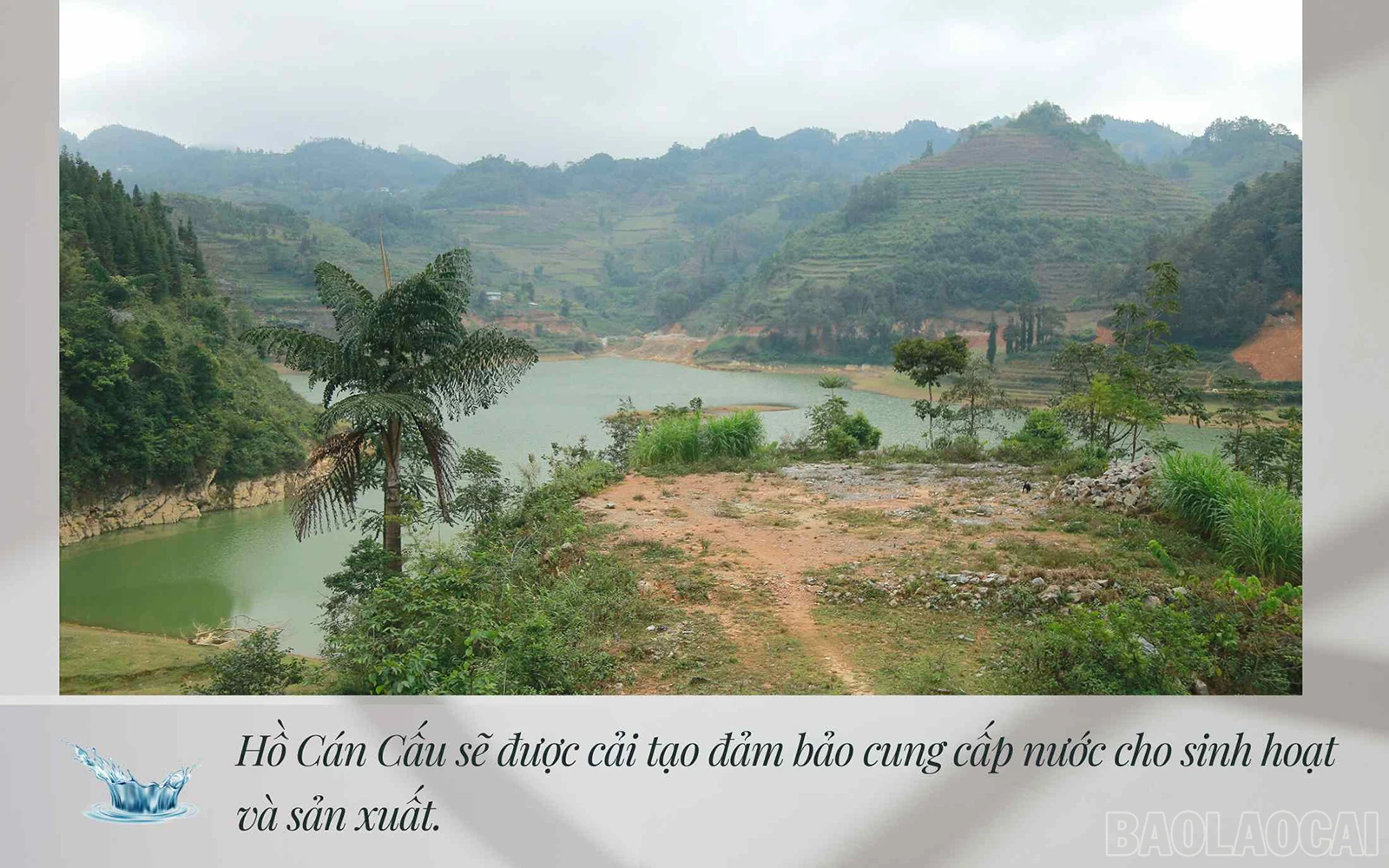 baolaocai-hocancau-3510.jpg
