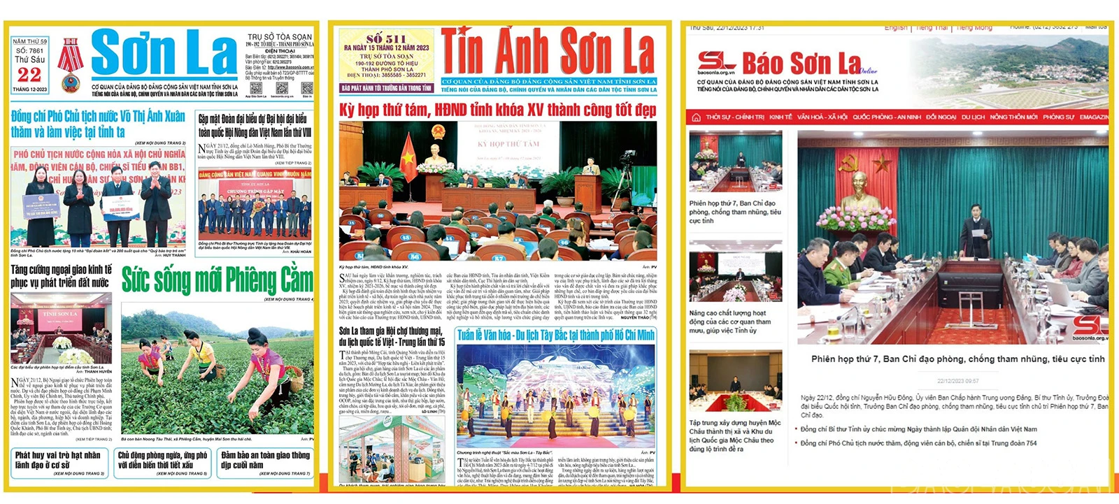 baolaocai-asl-9380.jpg