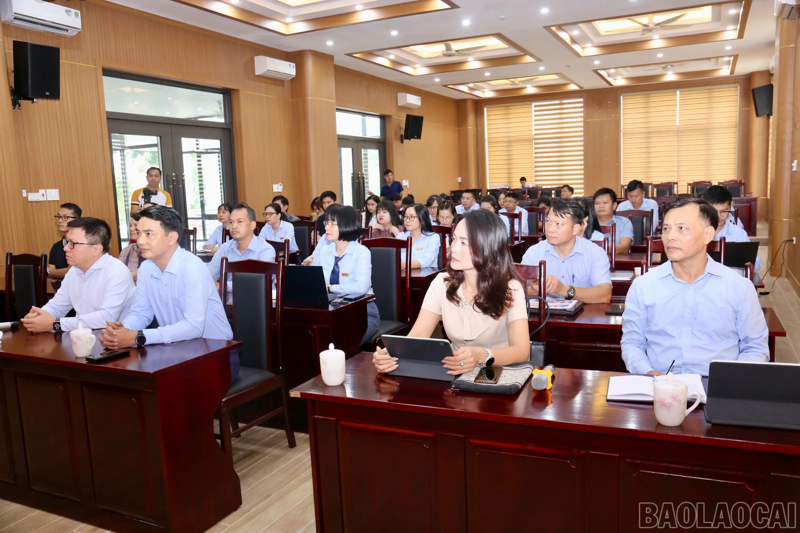 baolaocai_lqmlc (1).jpg