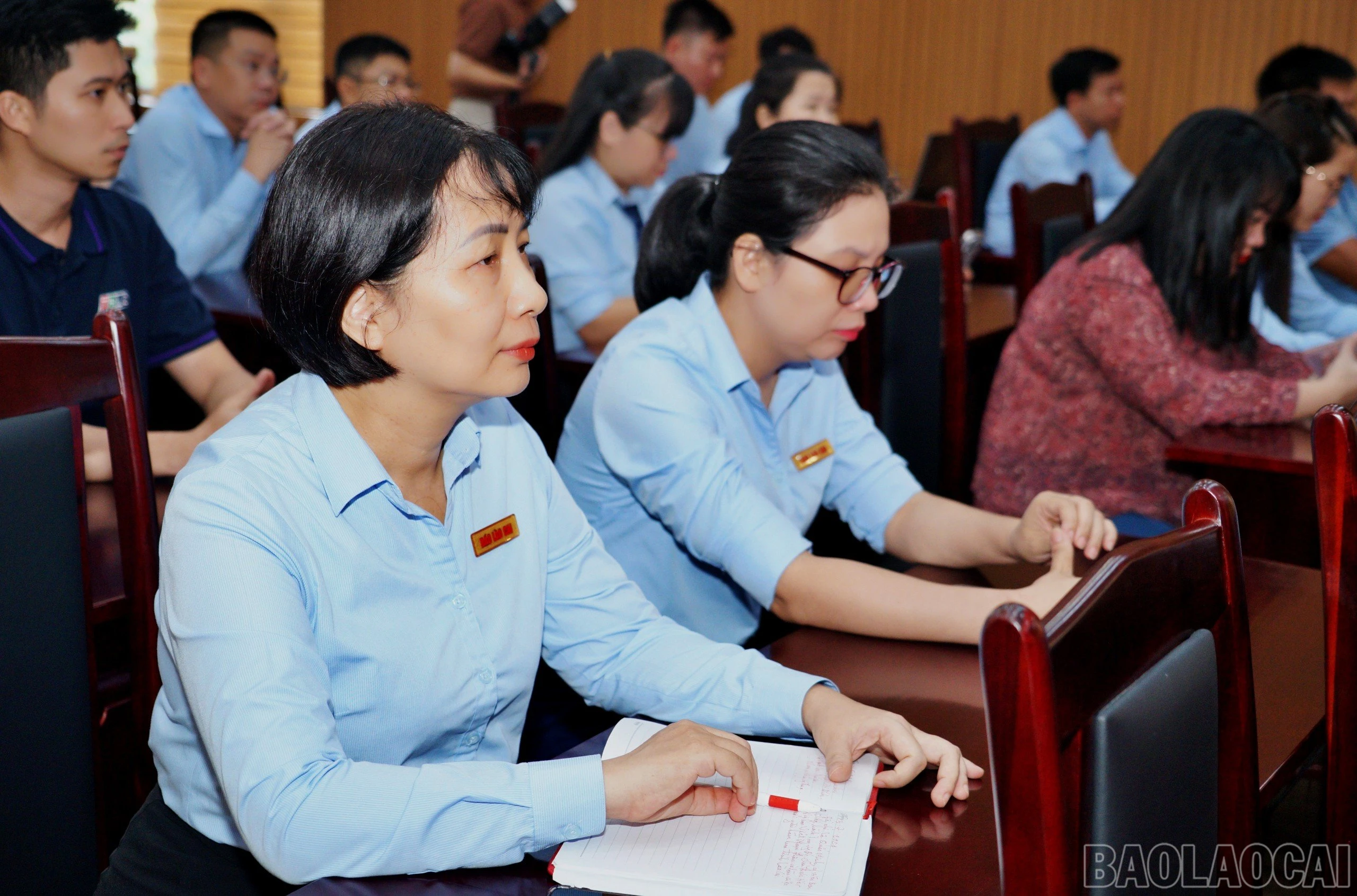 baolaocai_lqmlc (3).jpg