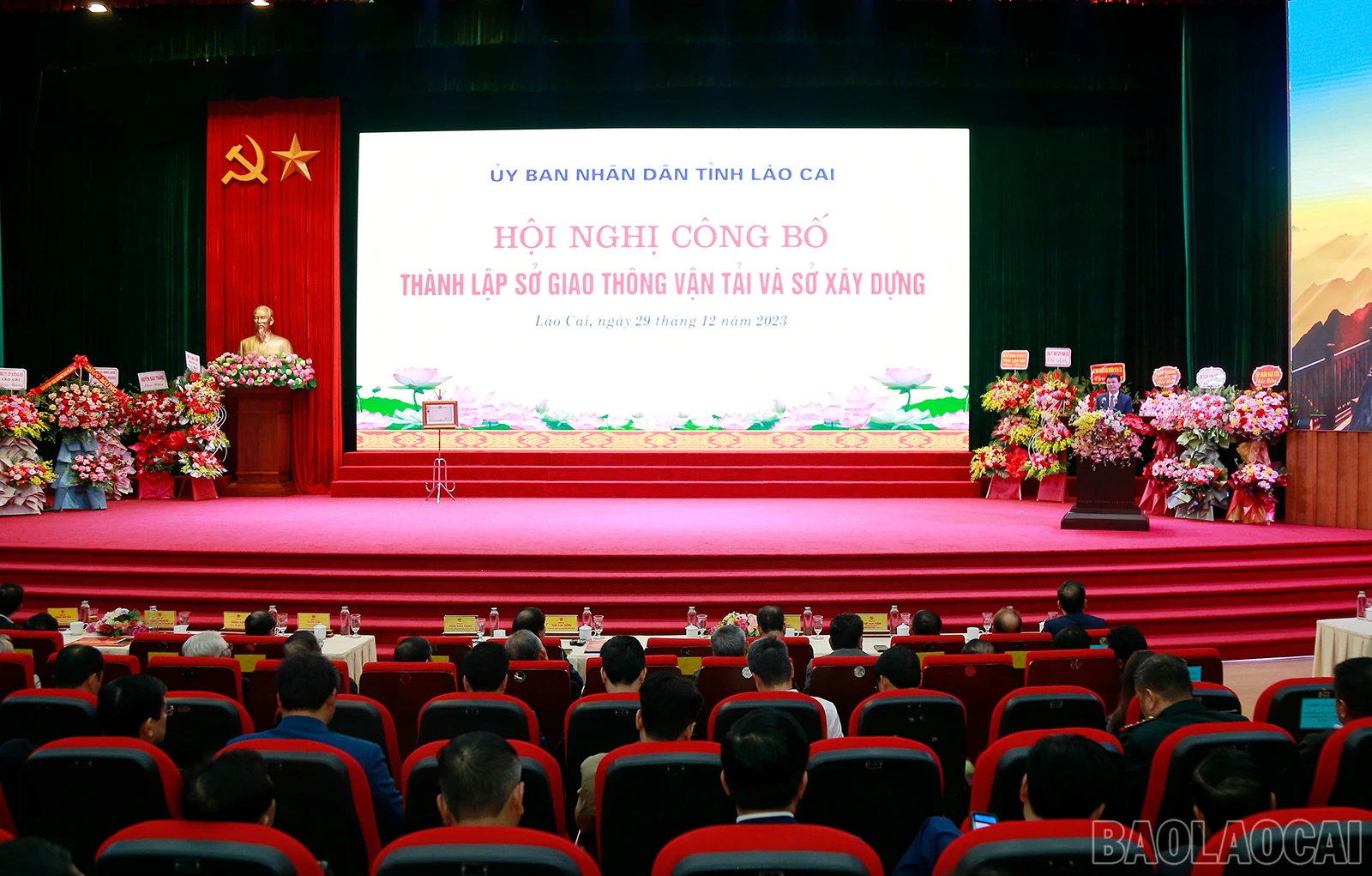 baolaocai-tls-1-7916.jpg
