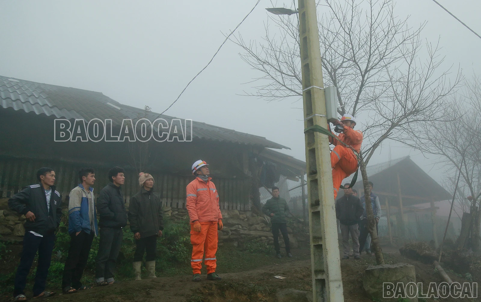 baolaocai-bg-2-5215.jpg