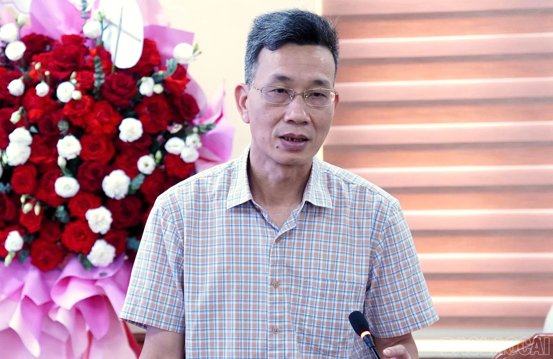 baolaocai-br_14.jpg