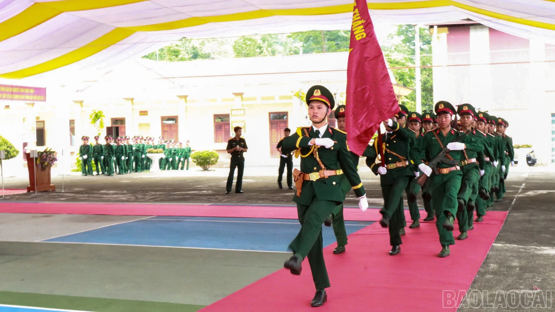 baolaocai-br_5.jpg