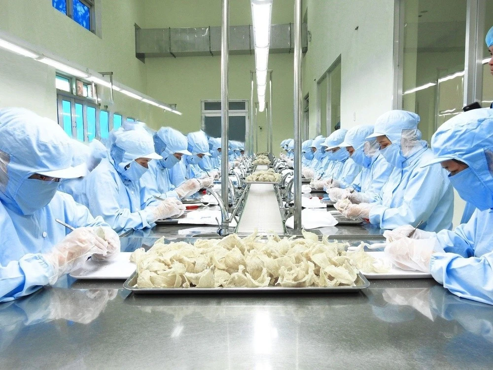 Sản phẩm tổ yến xuất sang Trung Quốc nằm trong diện quản lý mới.