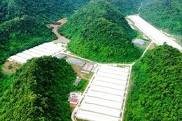 Trang tại nuôi lợn nơi xảy ra sự việc. Ảnh: CTV