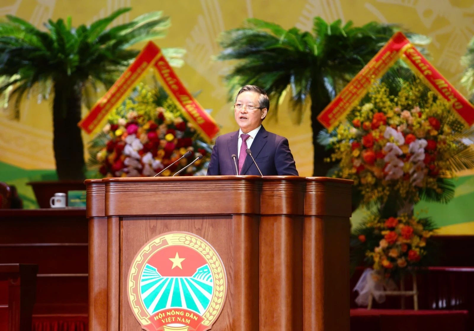 Đồng chí Lương Quốc Đoàn, Ủy viên Trung ương Đảng, Chủ tịch Trung ương Hội NDVN khóa IX phát biểu nhận nhiệm vụ.