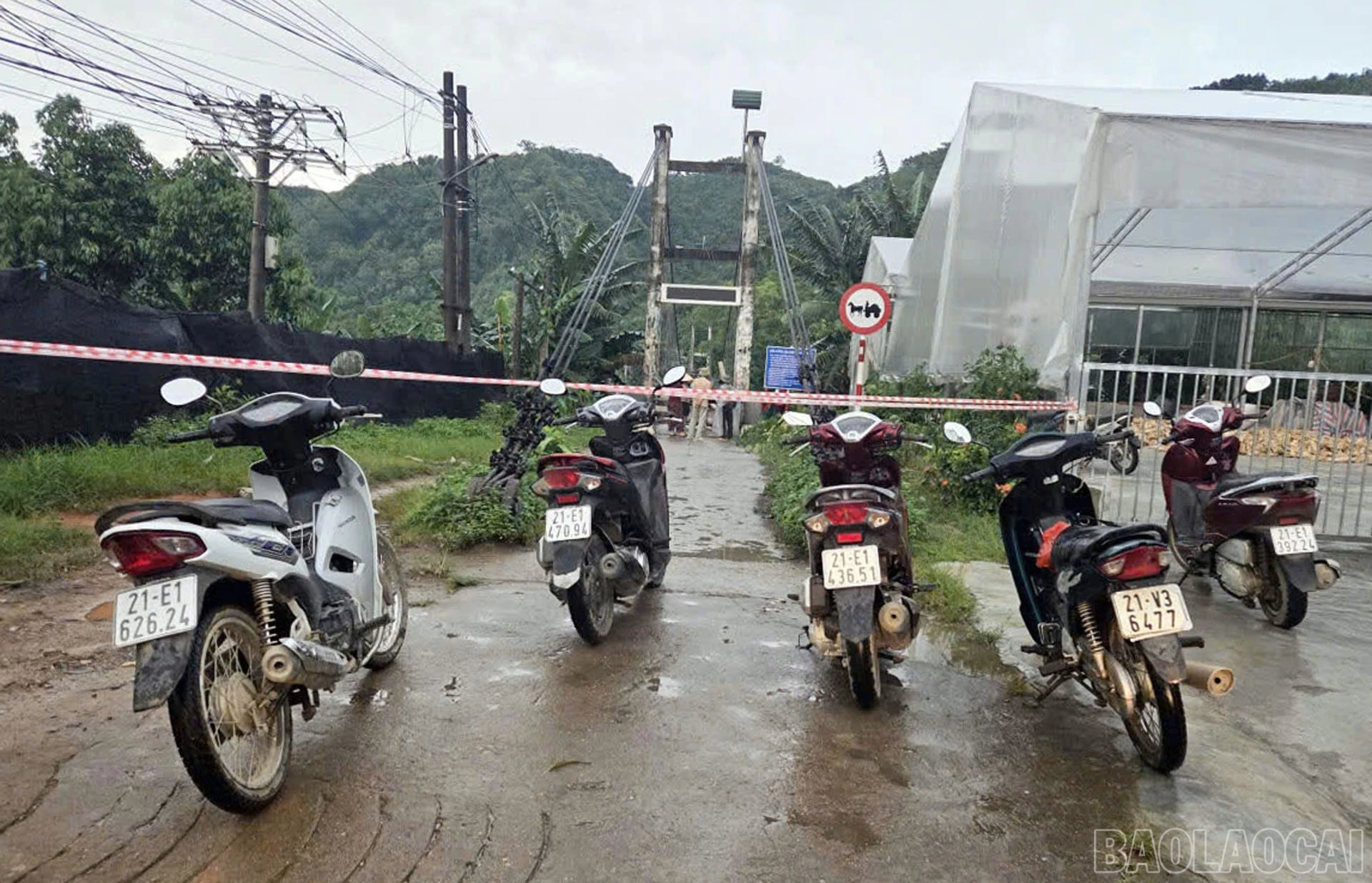 baolaocai-br_27-5-cau.jpg